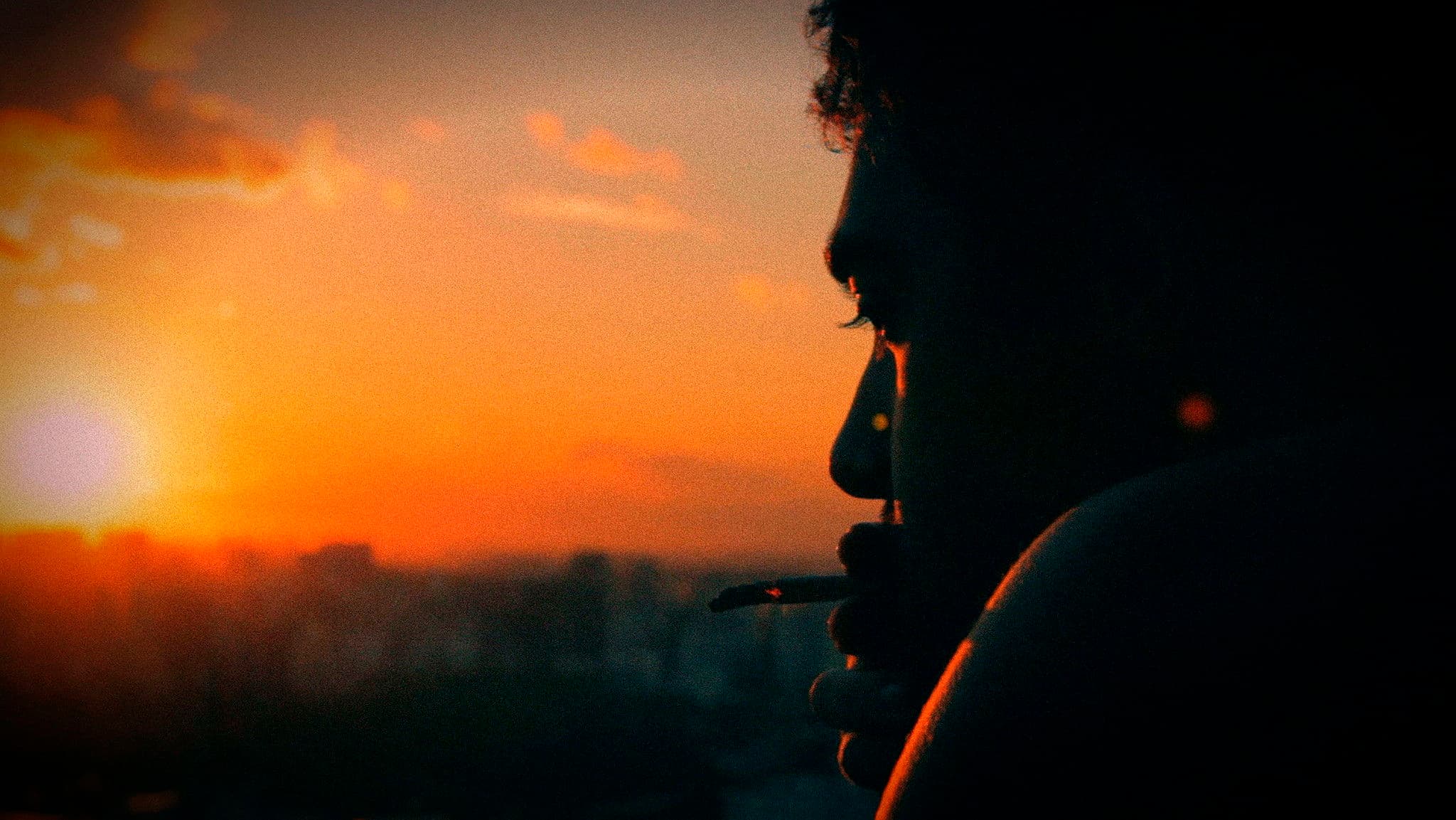 A Bruta Flor do Querer