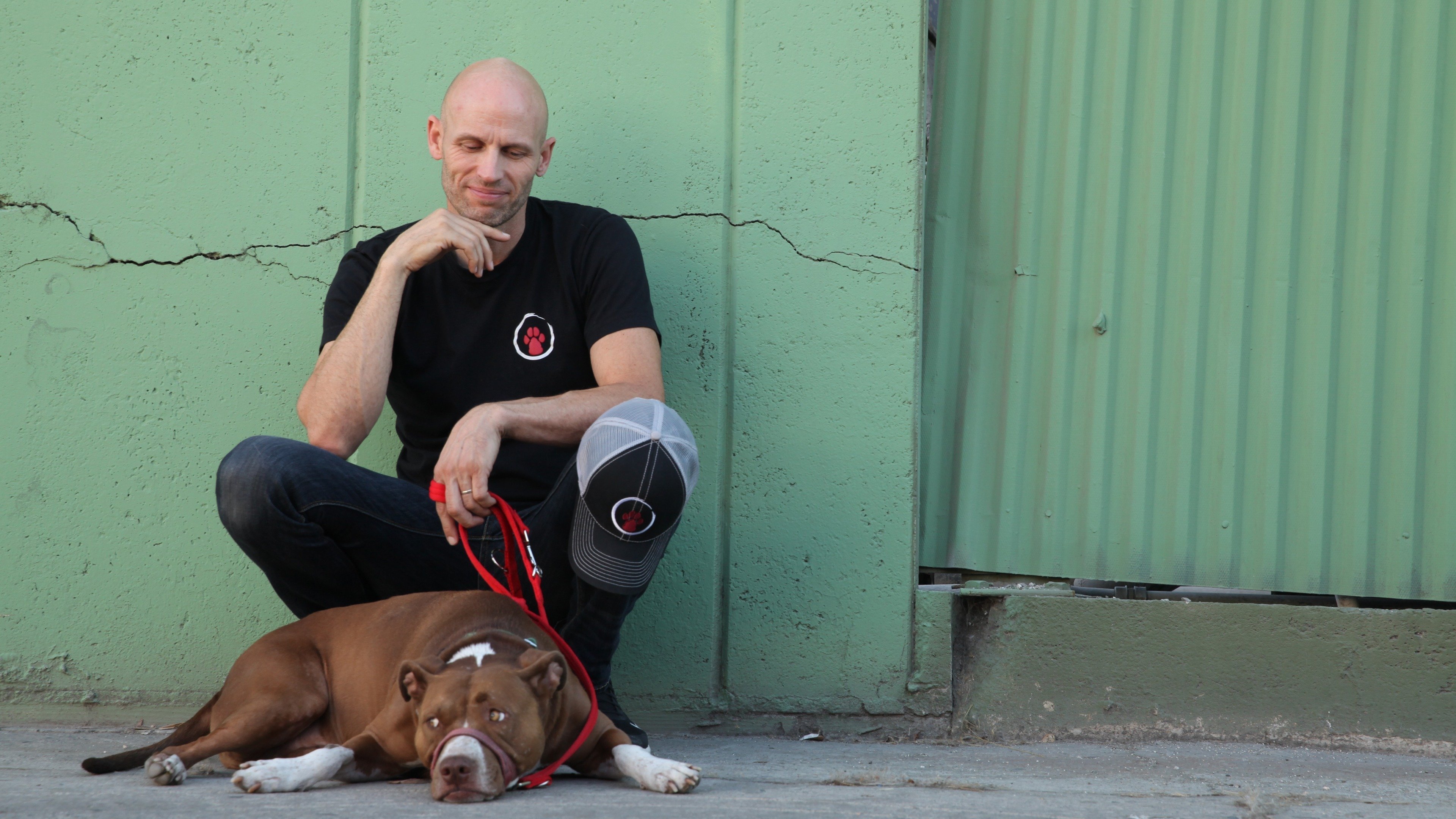 Zweite Chance für Hunde