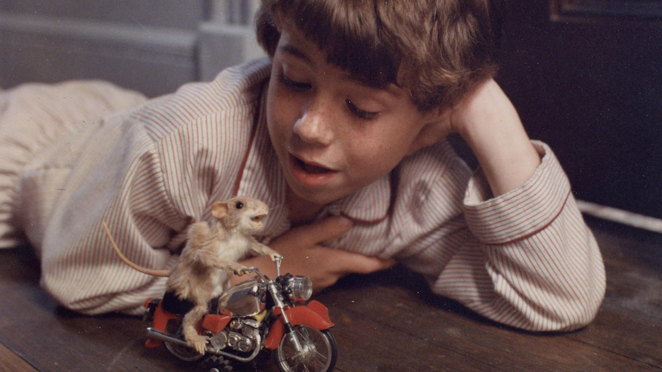 Die Maus und das Motorrad