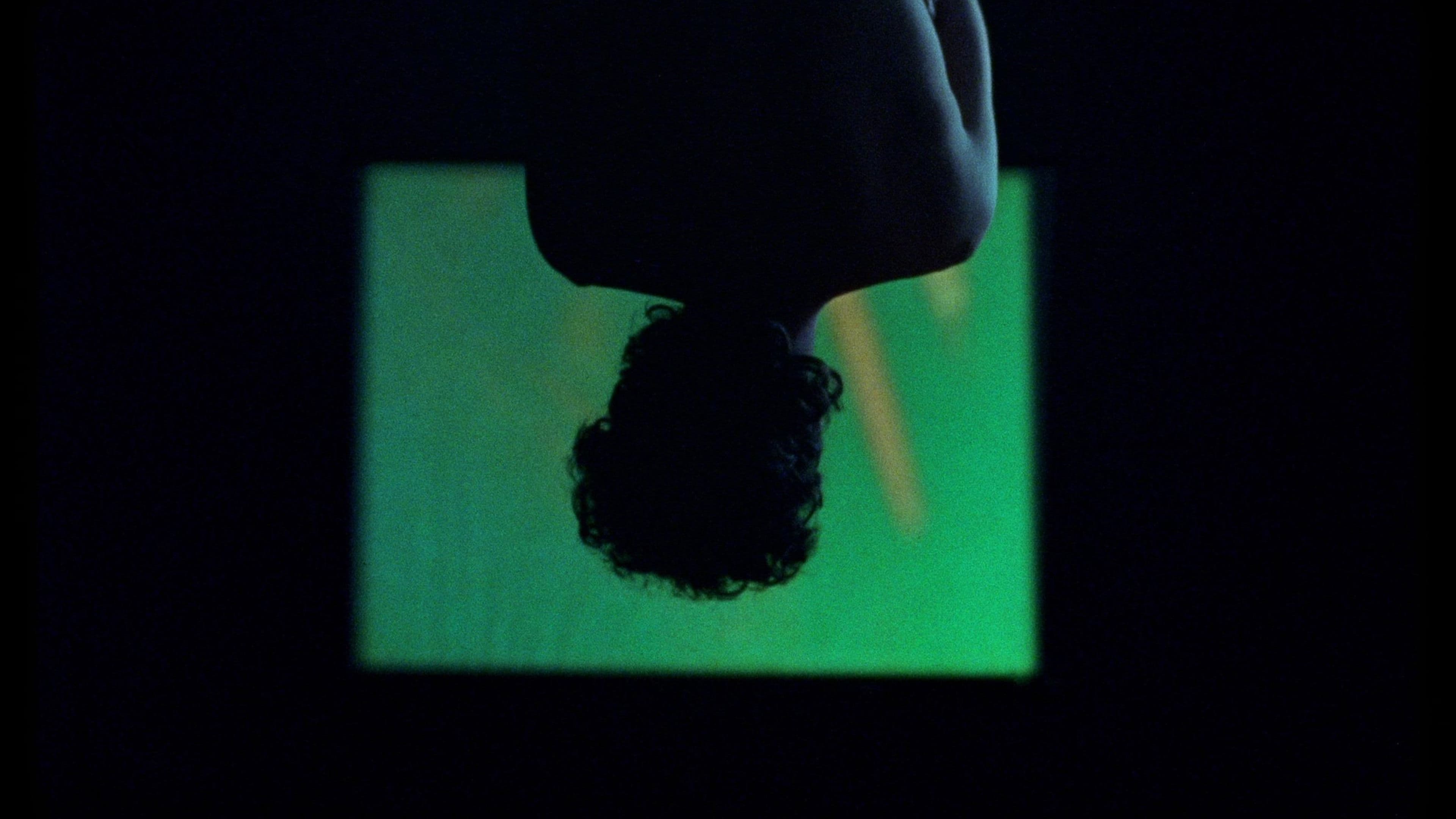 Los murciélagos han abandonado el campanario