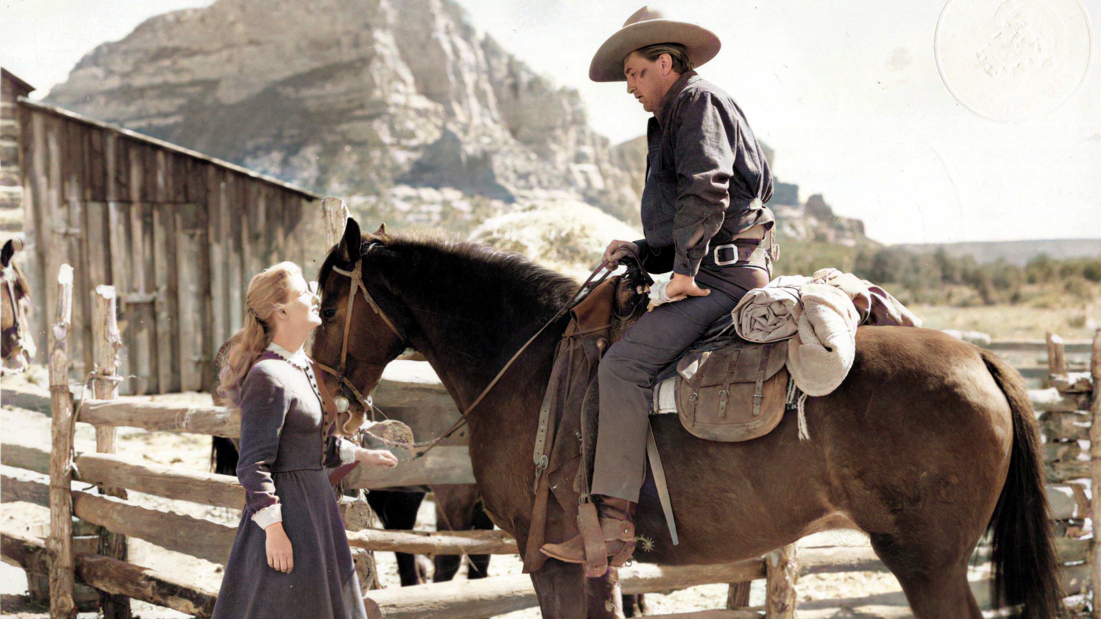 Nacht in der Prärie