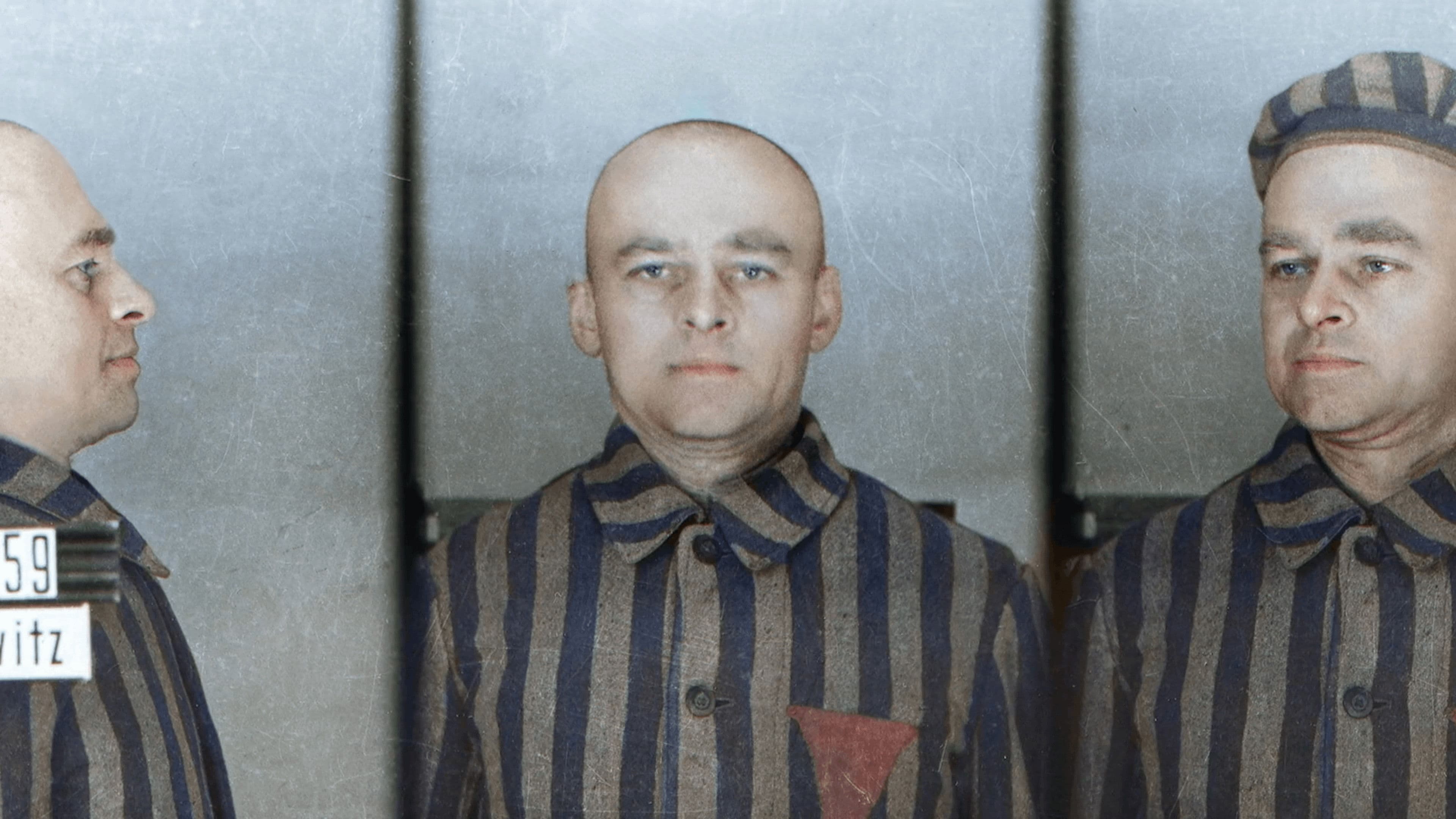 Der Spion von Auschwitz