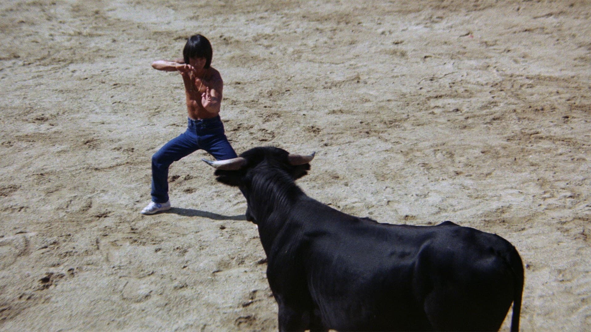 Spezialkommando Feuervogel