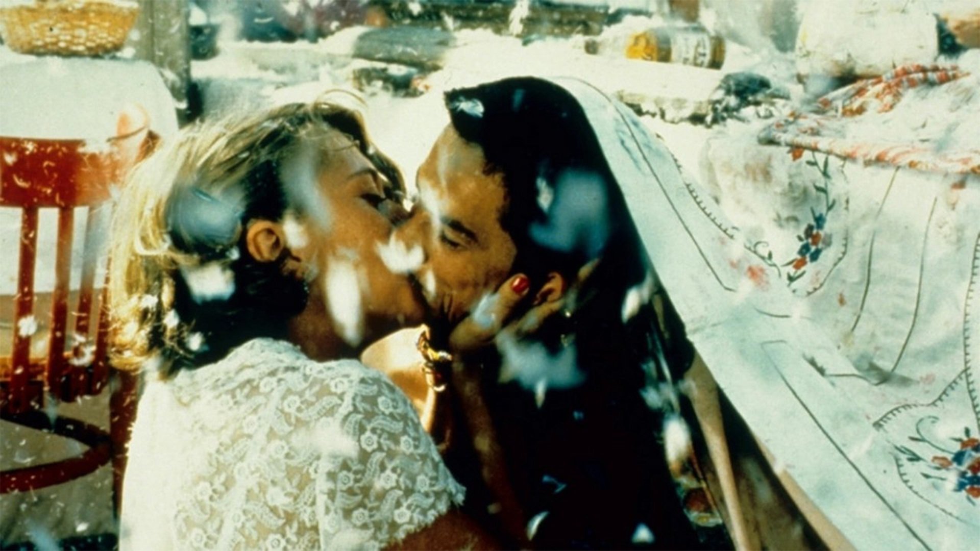 Schwarze Katze, weißer Kater