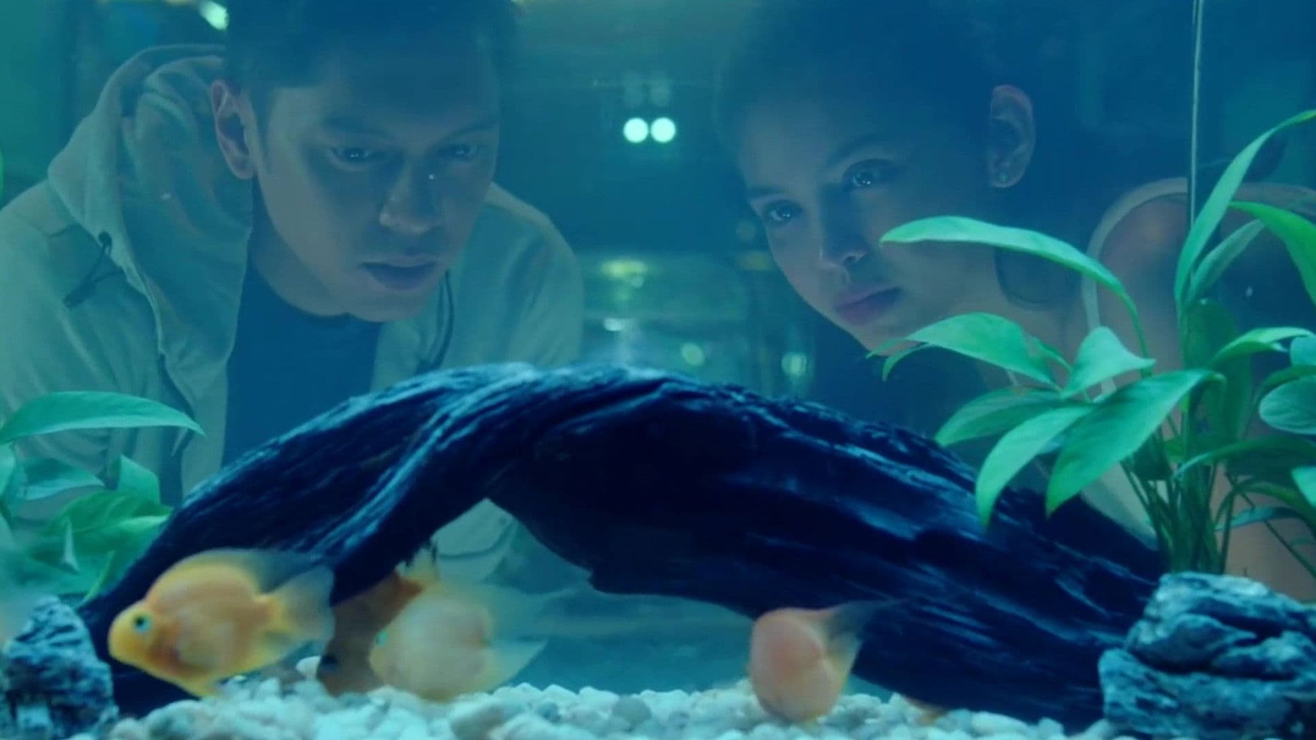 Isa Pa, With Feelings