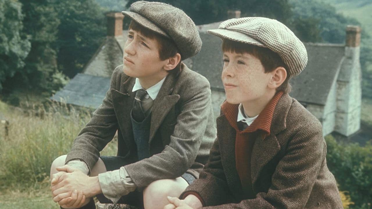 Des Sommers ganze Fülle