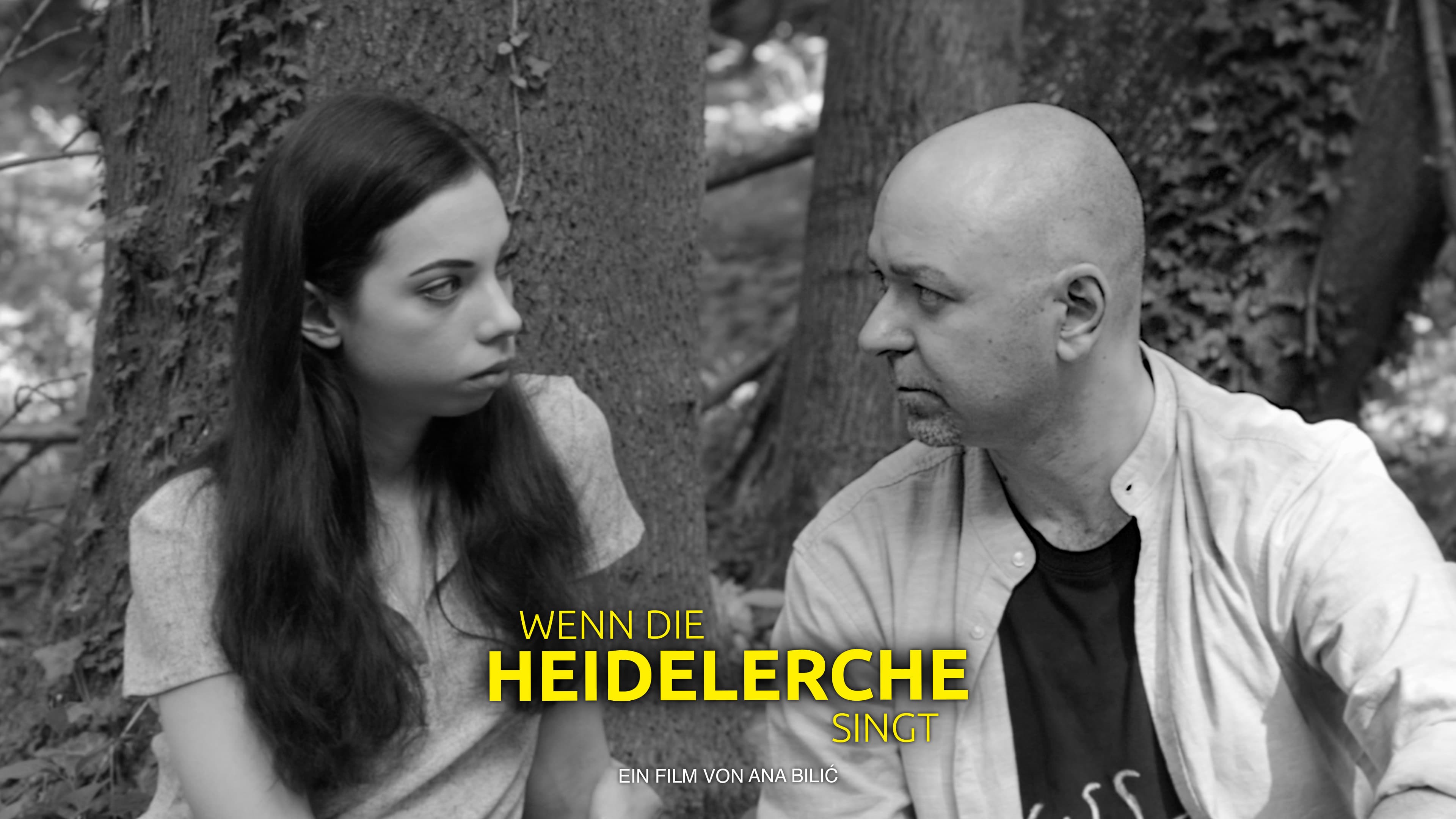 Wenn die Heidelerche singt