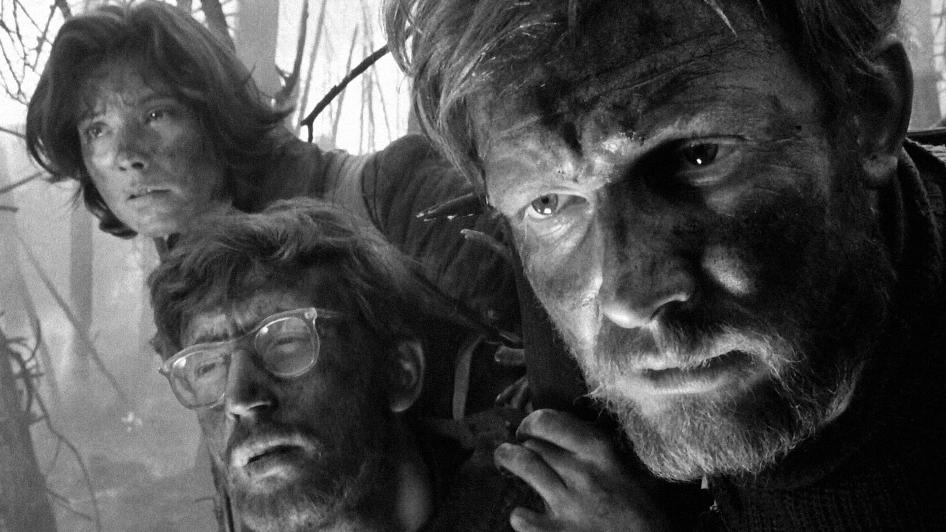 Ein Brief, der nie ankam