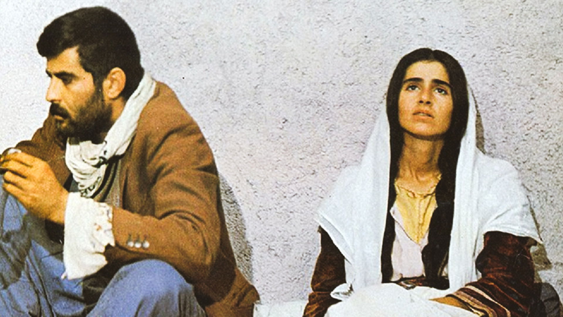 Sürü – Die Herde