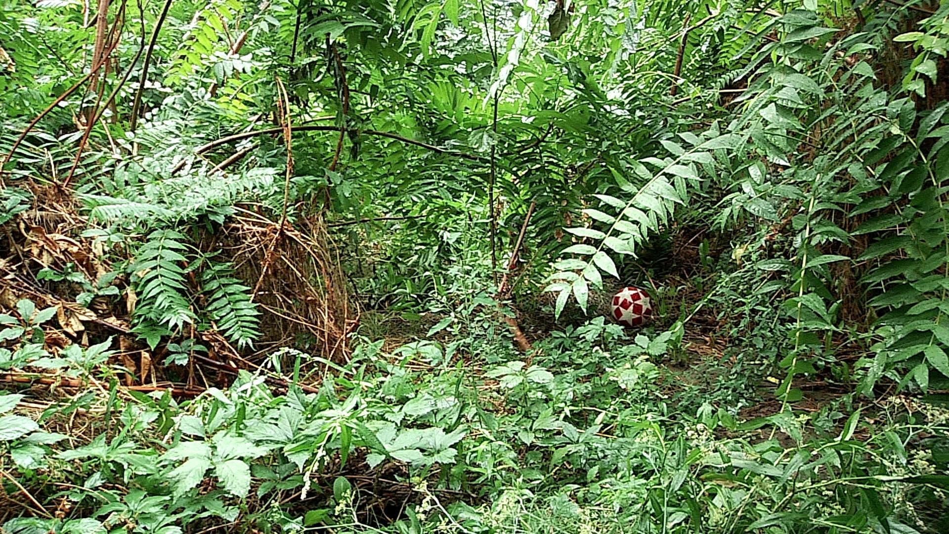 Τρία Ρέματα