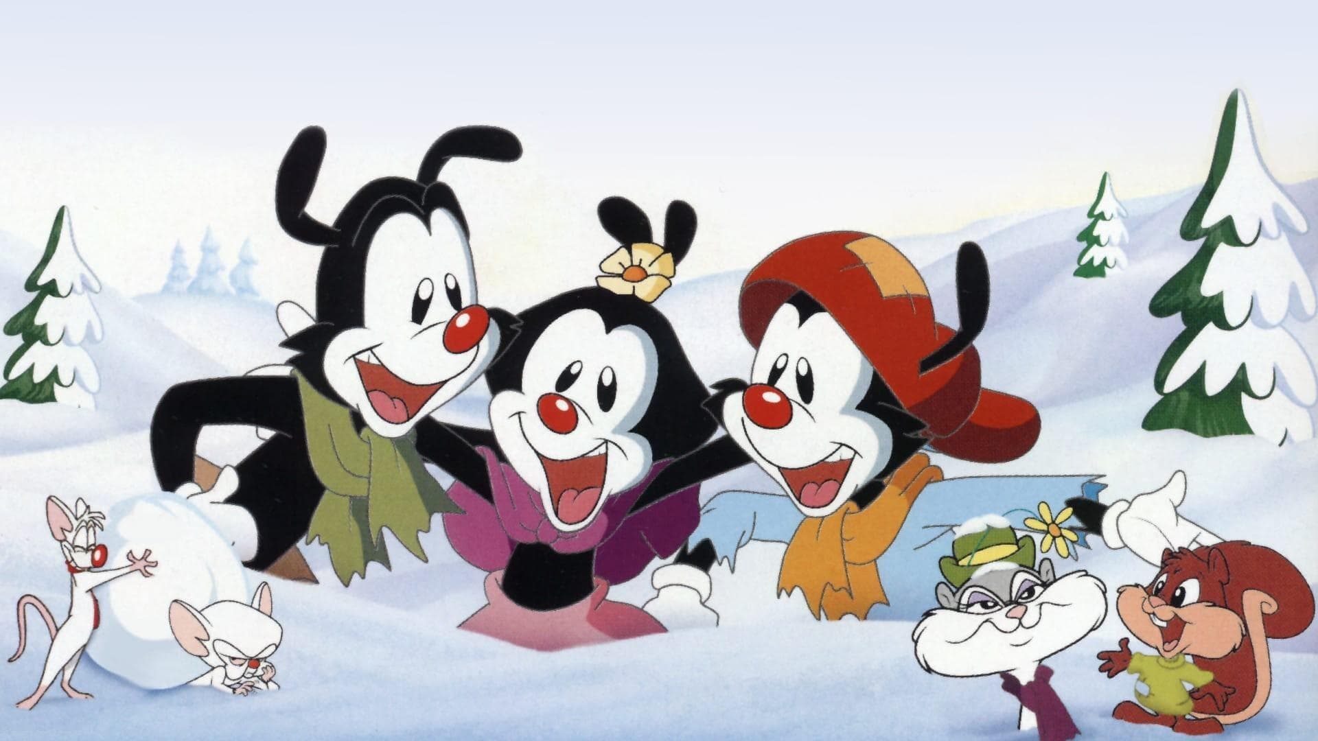 Animaniacs: Wakkos Wunsch