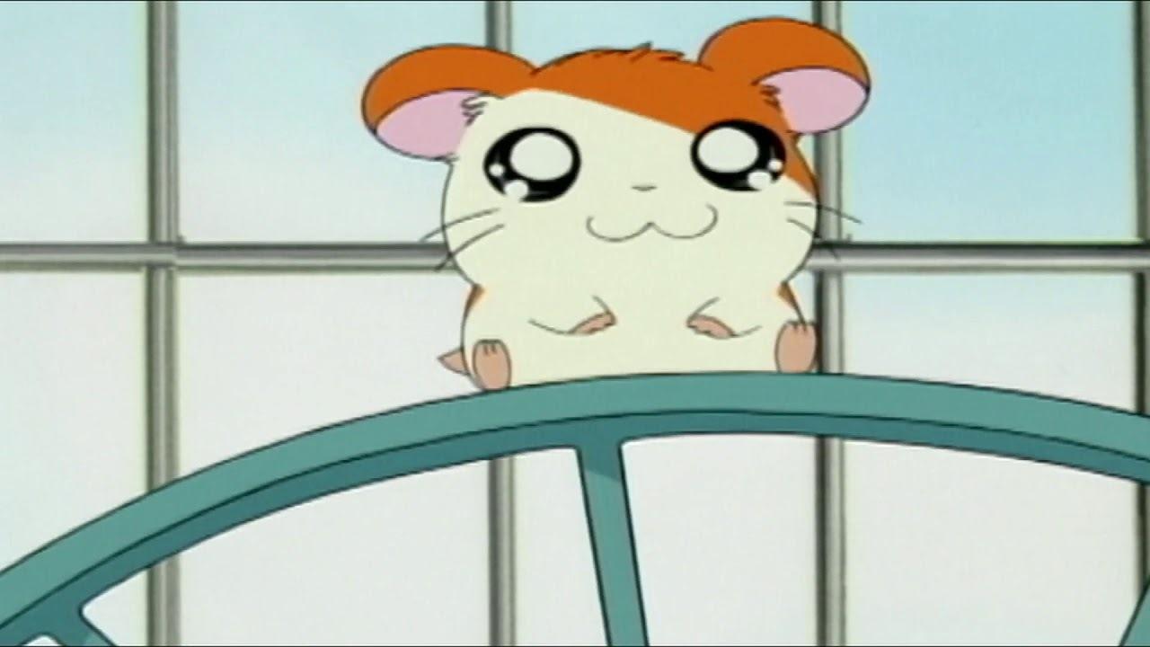 Hamtaro - Kleine Hamster, grosse Abenteuer