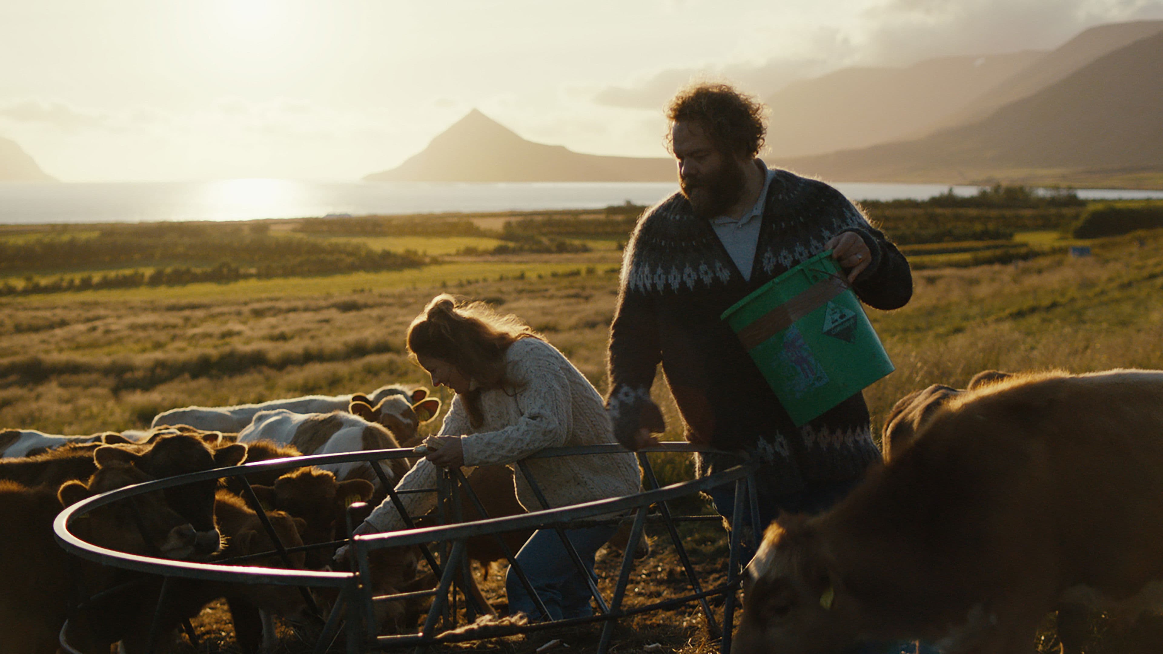 Sommerlicht, und dann kommt die Nacht