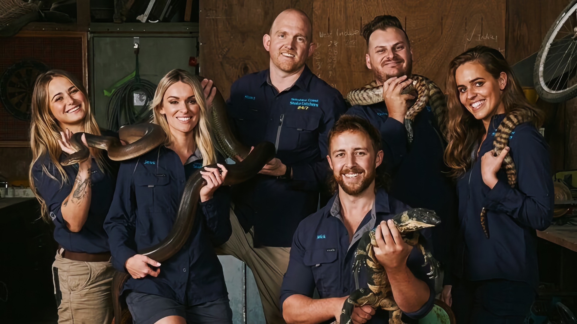 Snake Security Schlangenalarm in Australien