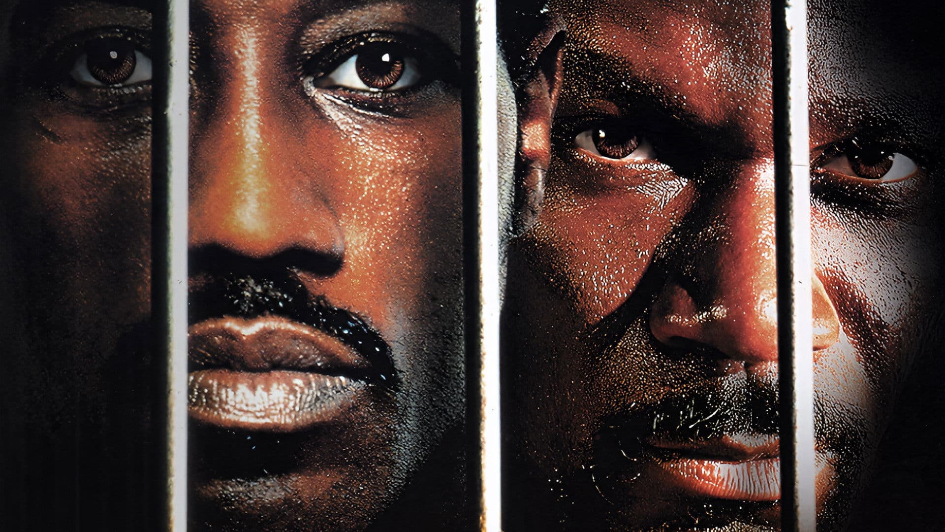 Undisputed - Sieg ohne Ruhm