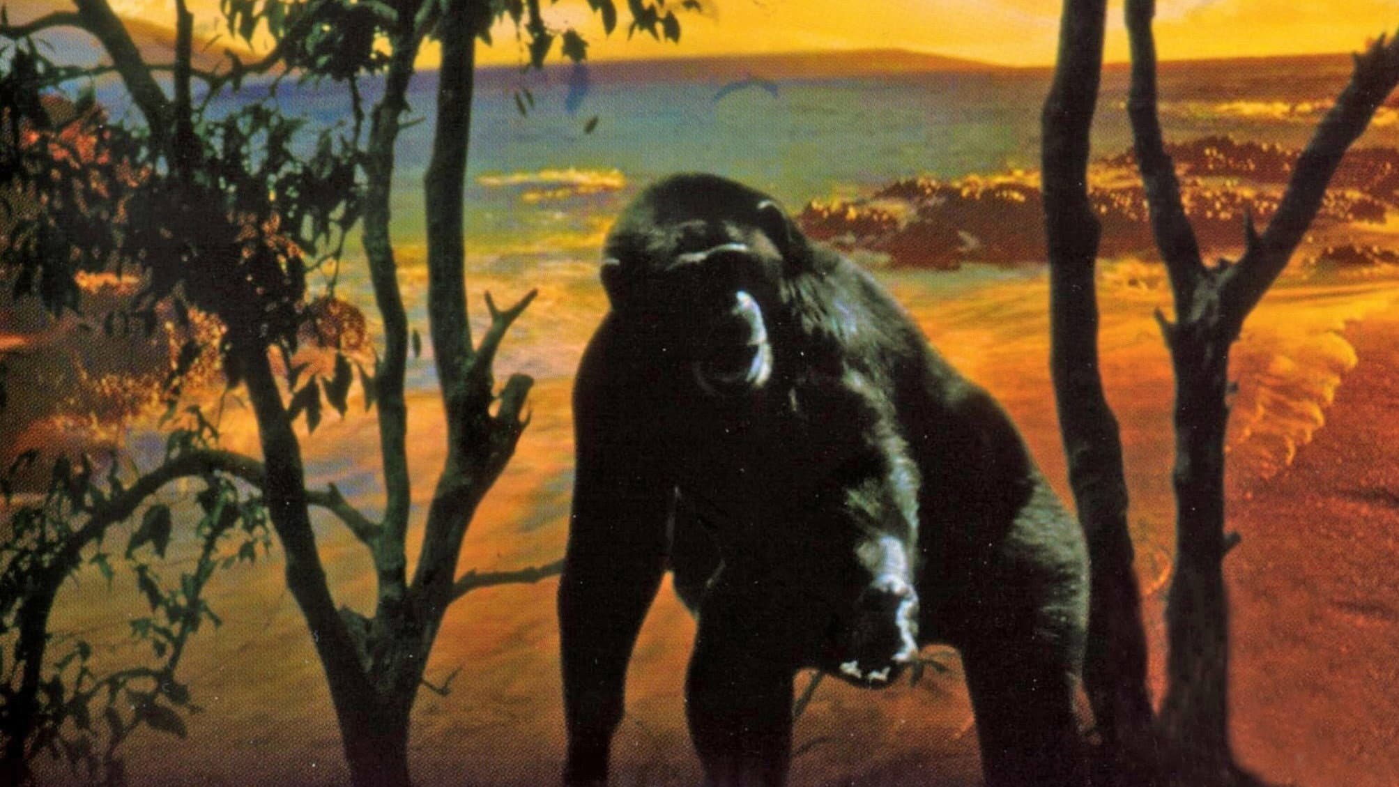 Le Bestiaire d'amour