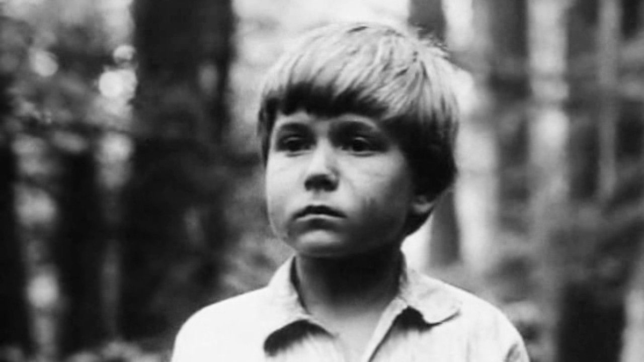 Таємниця партизанської землянки