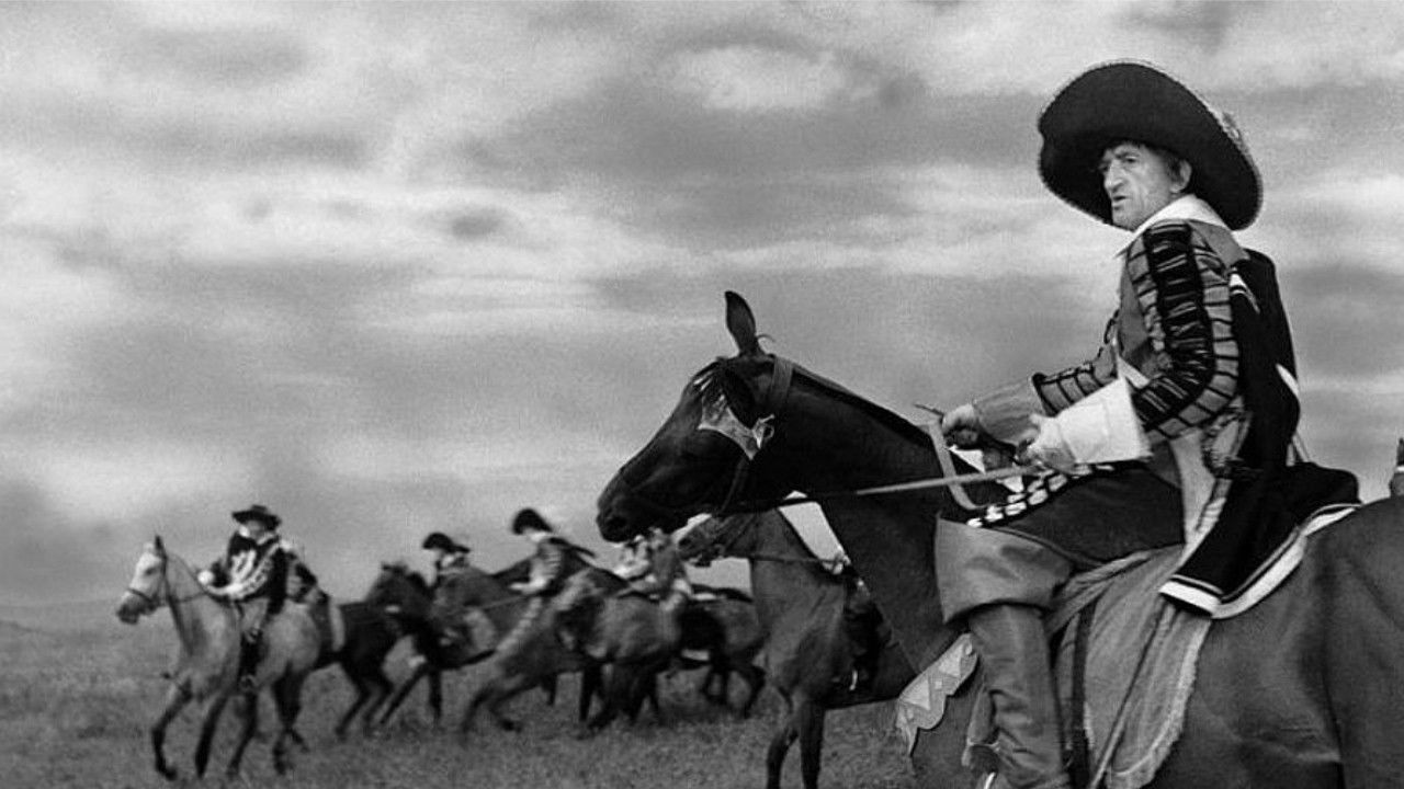 Chronik eines Hofnarren