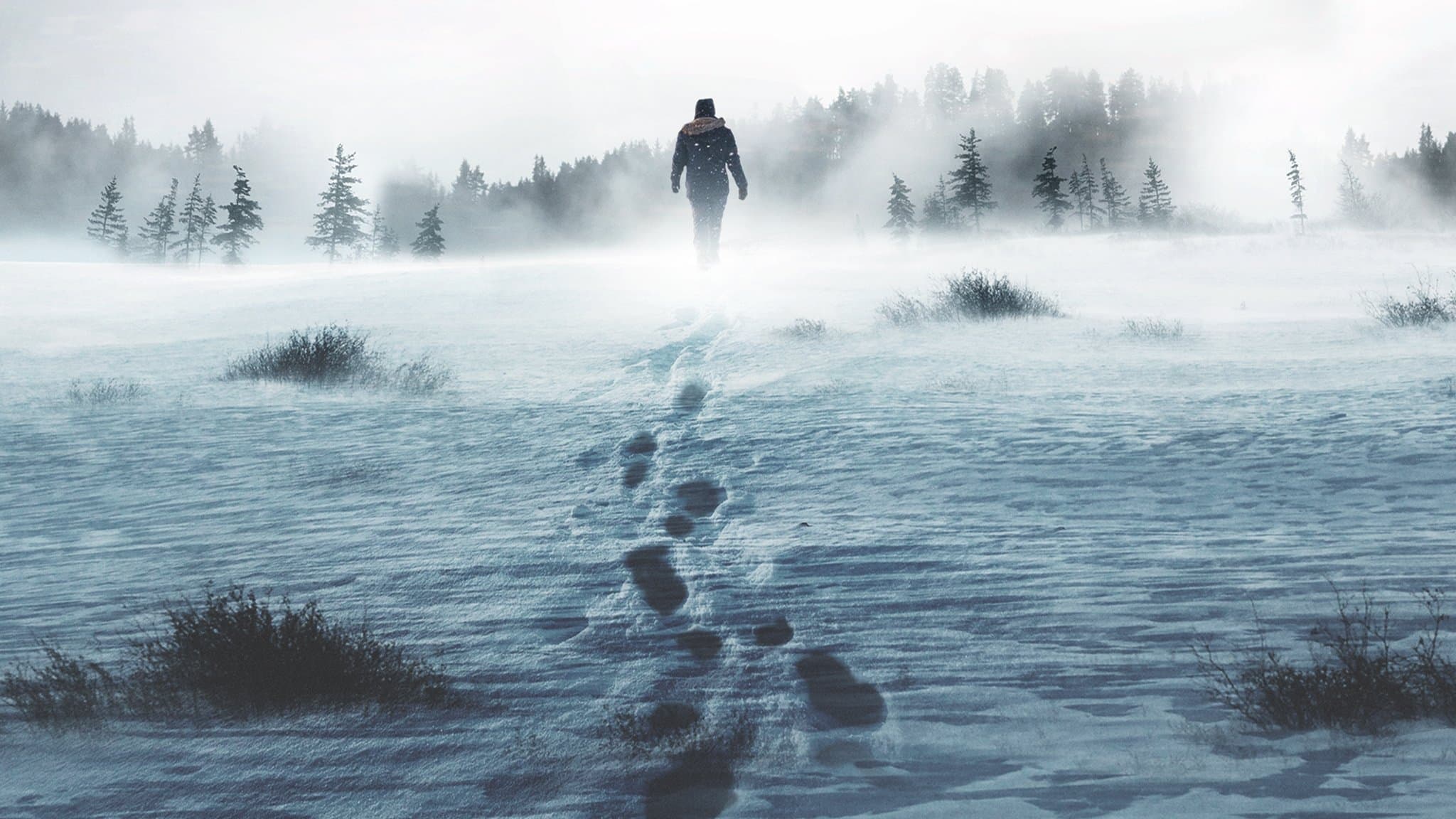 Alone - Überleben in der Wildnis