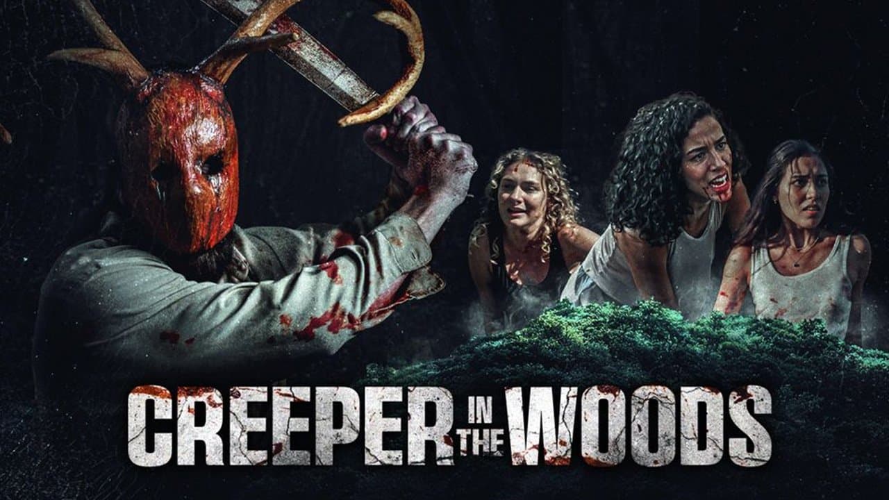 Creeper in the Woods