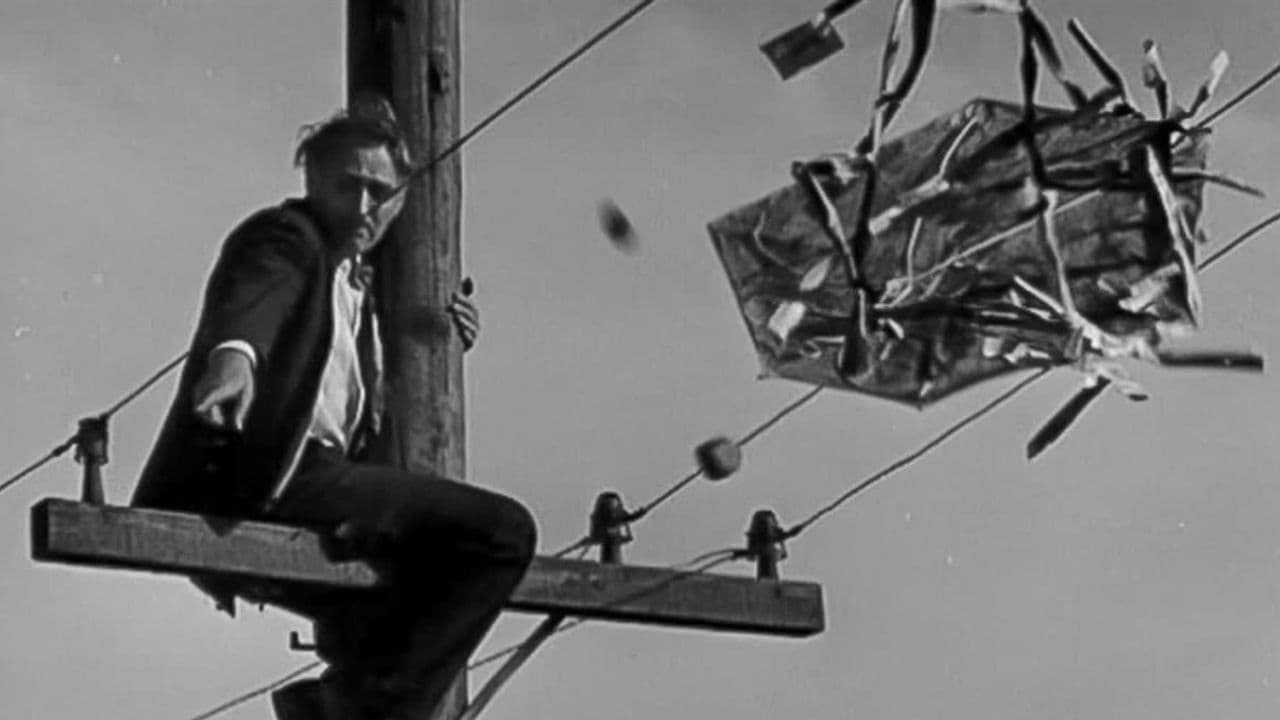 Lasst den Drachen steigen