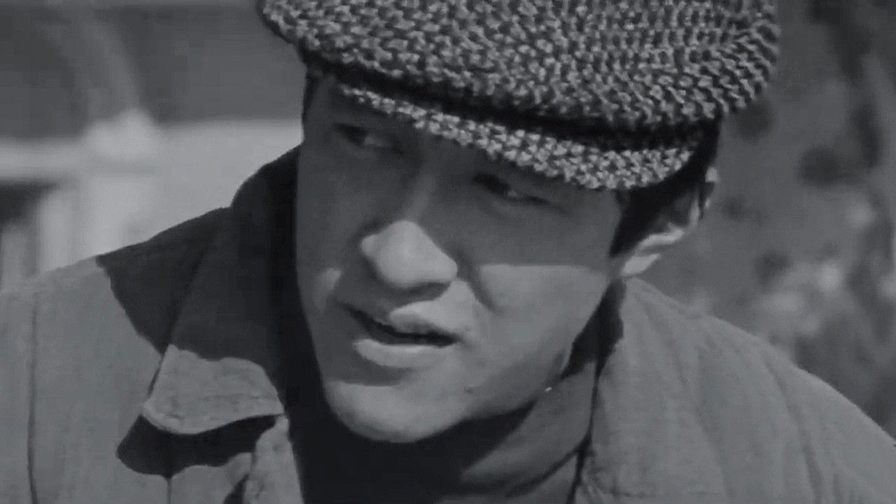 Роща памяти