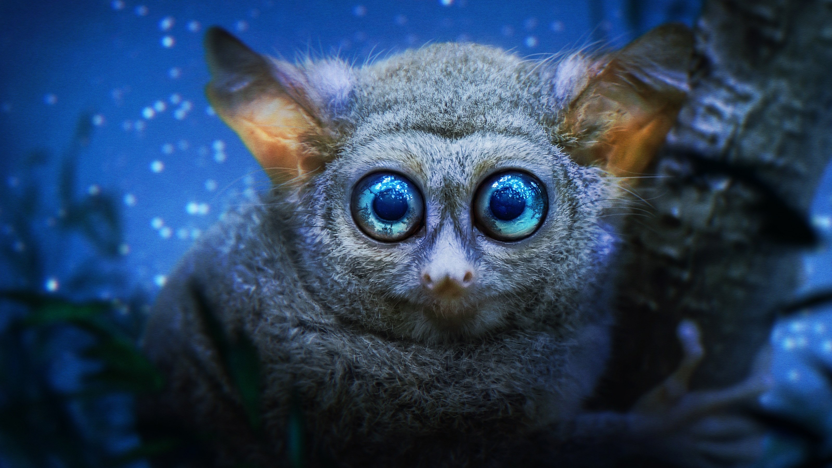 Die Welt in den Farben der Nacht