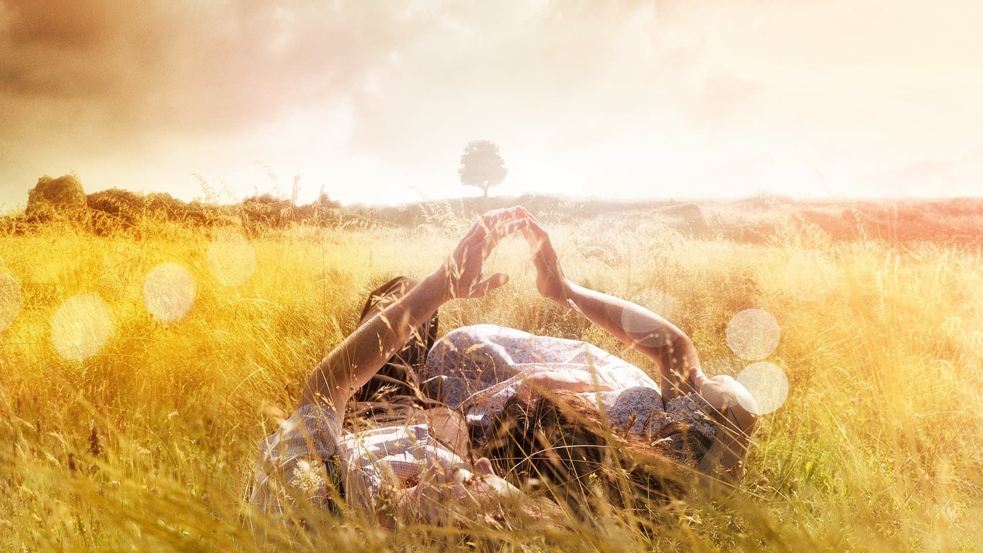 Die Geschichte der Liebe