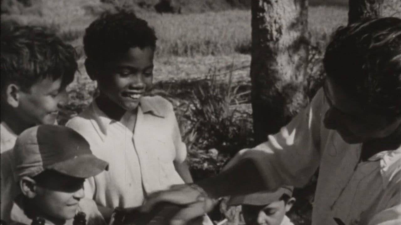 Raíces de felicidad