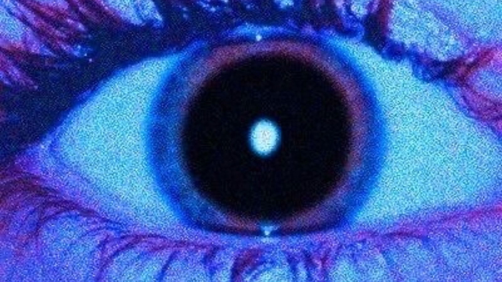 To Build a New Home - Volume 2