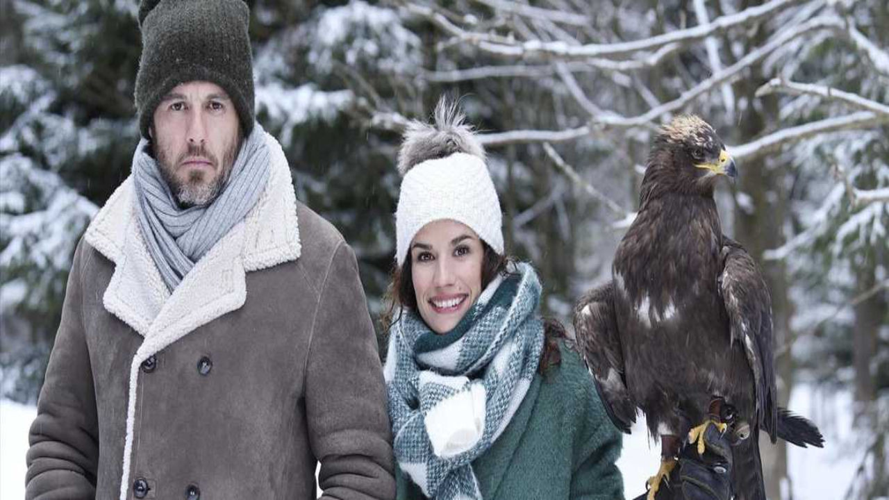 Die Melodie der Liebe