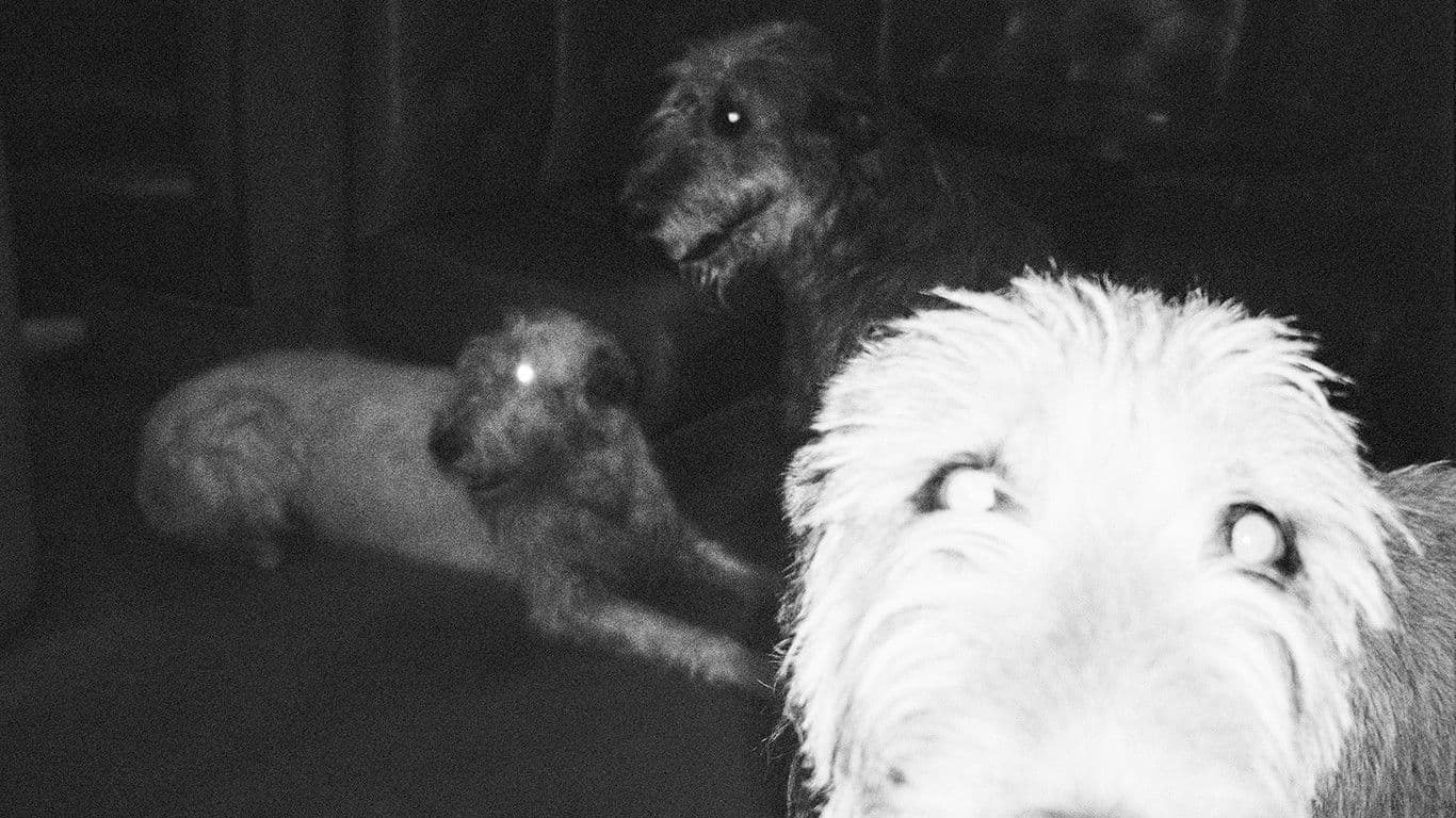 Not the Wound but the Scar