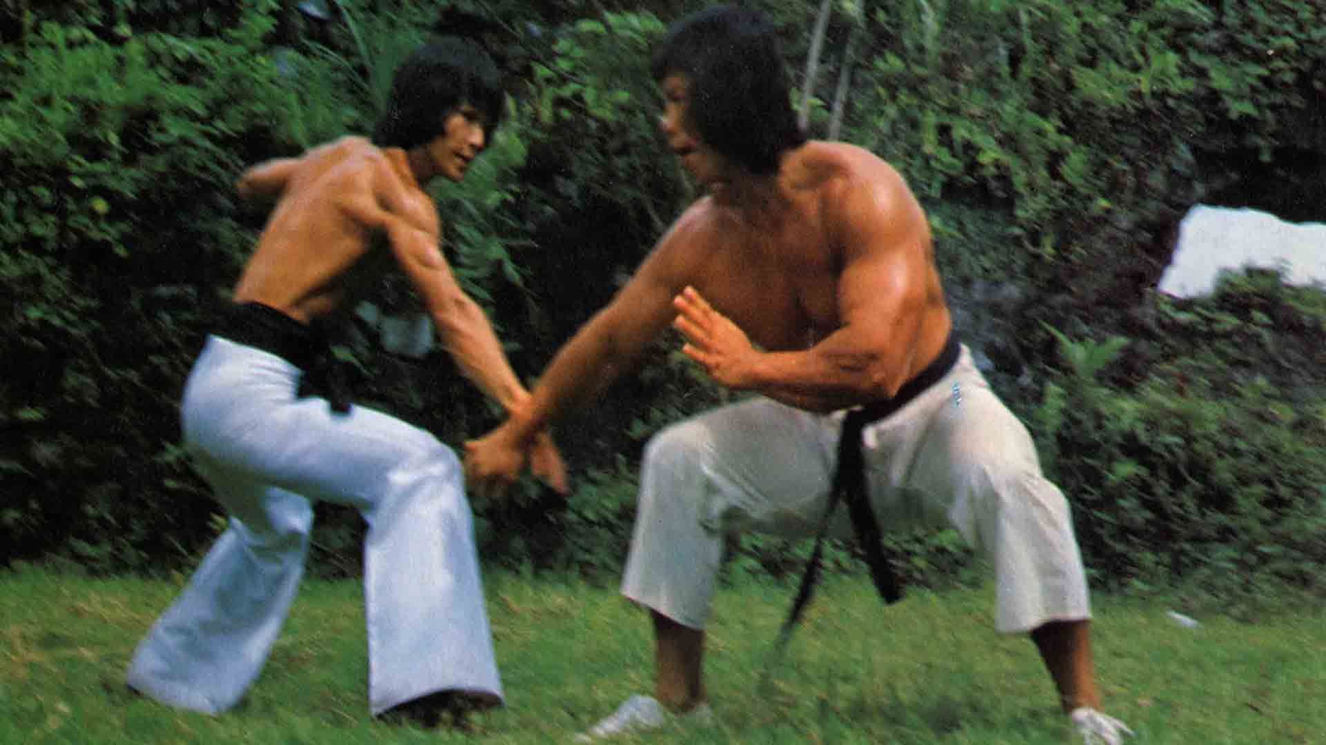 Bruce Lee - Der Tiger hetzt sie alle