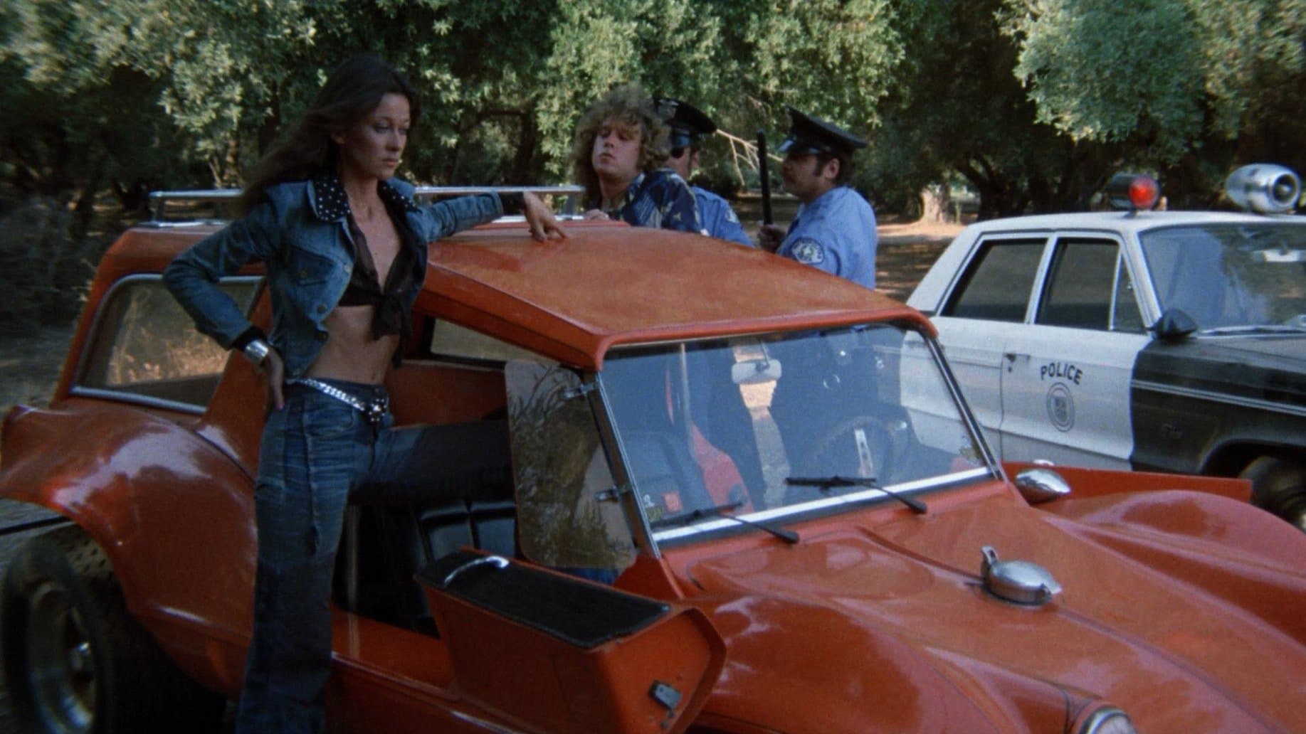 Ein Bulle für alle Fälle