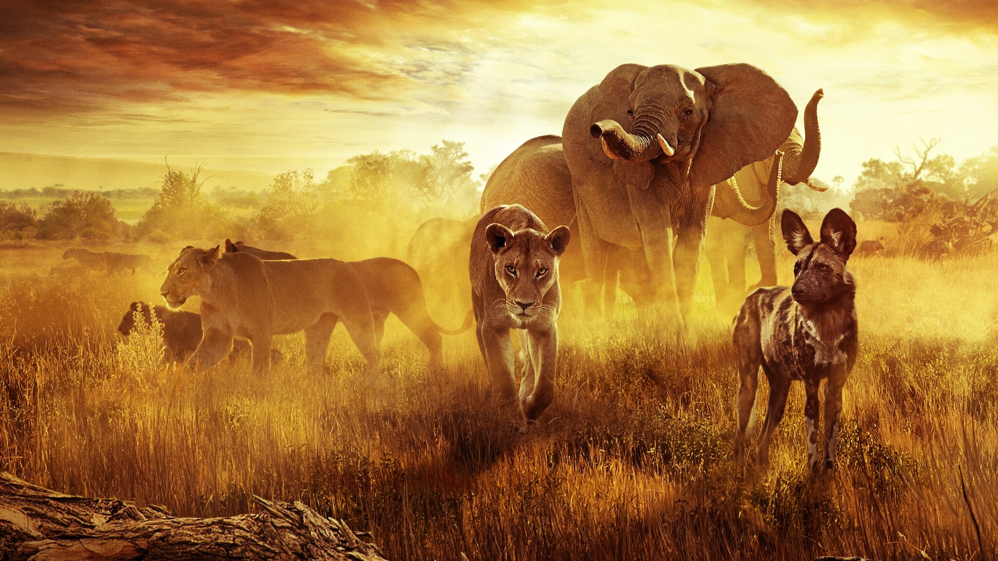 Überleben im Paradies: Eine Familiengeschichte