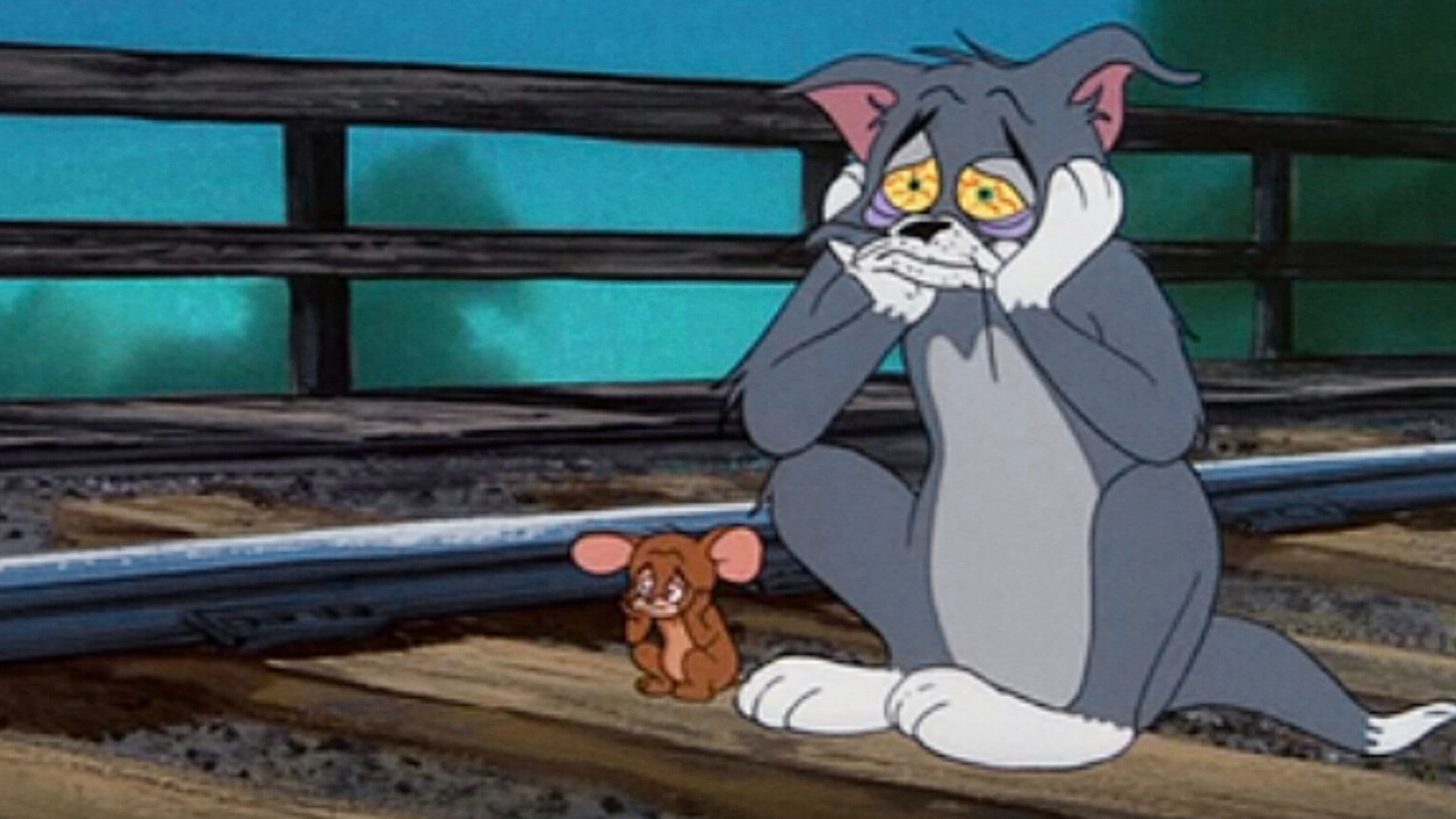 Dreimal armer, schwarzer Kater