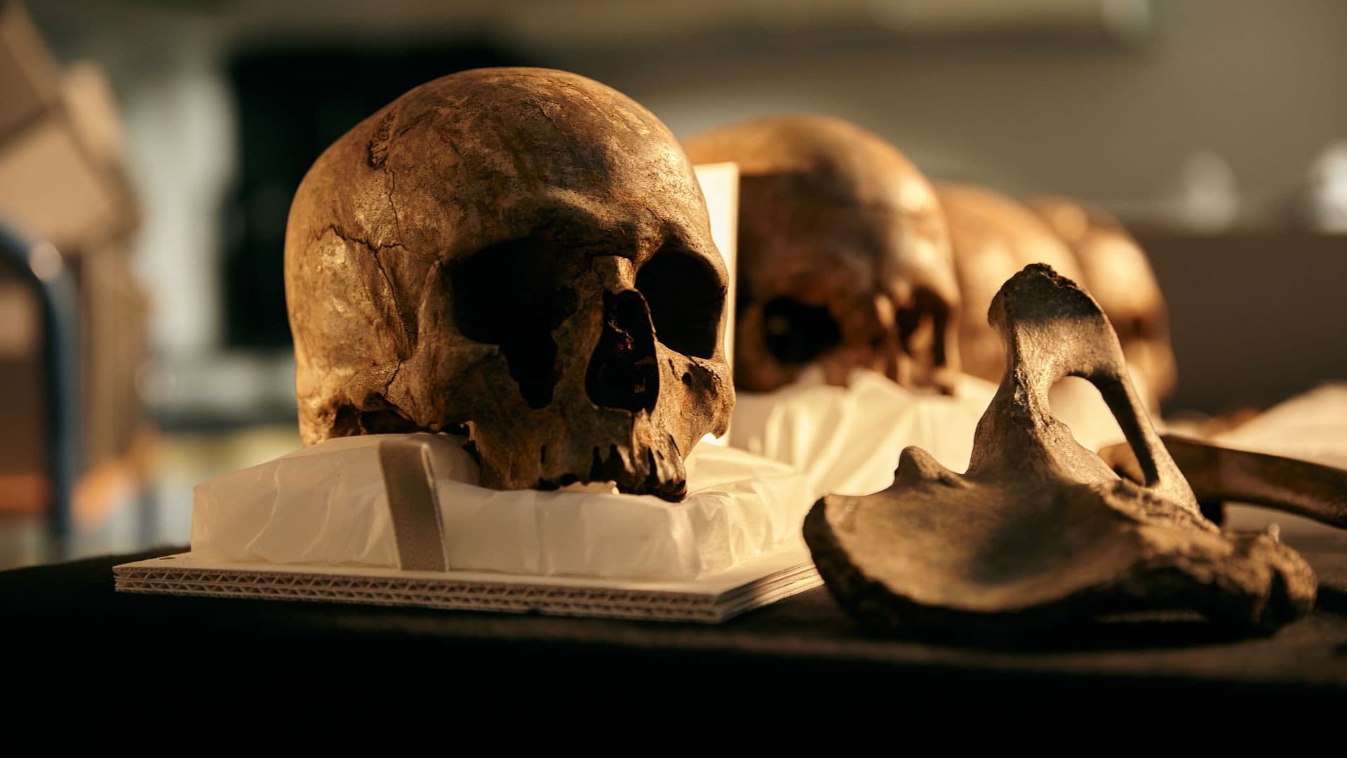 Das älteste Schlachtfeld Europas