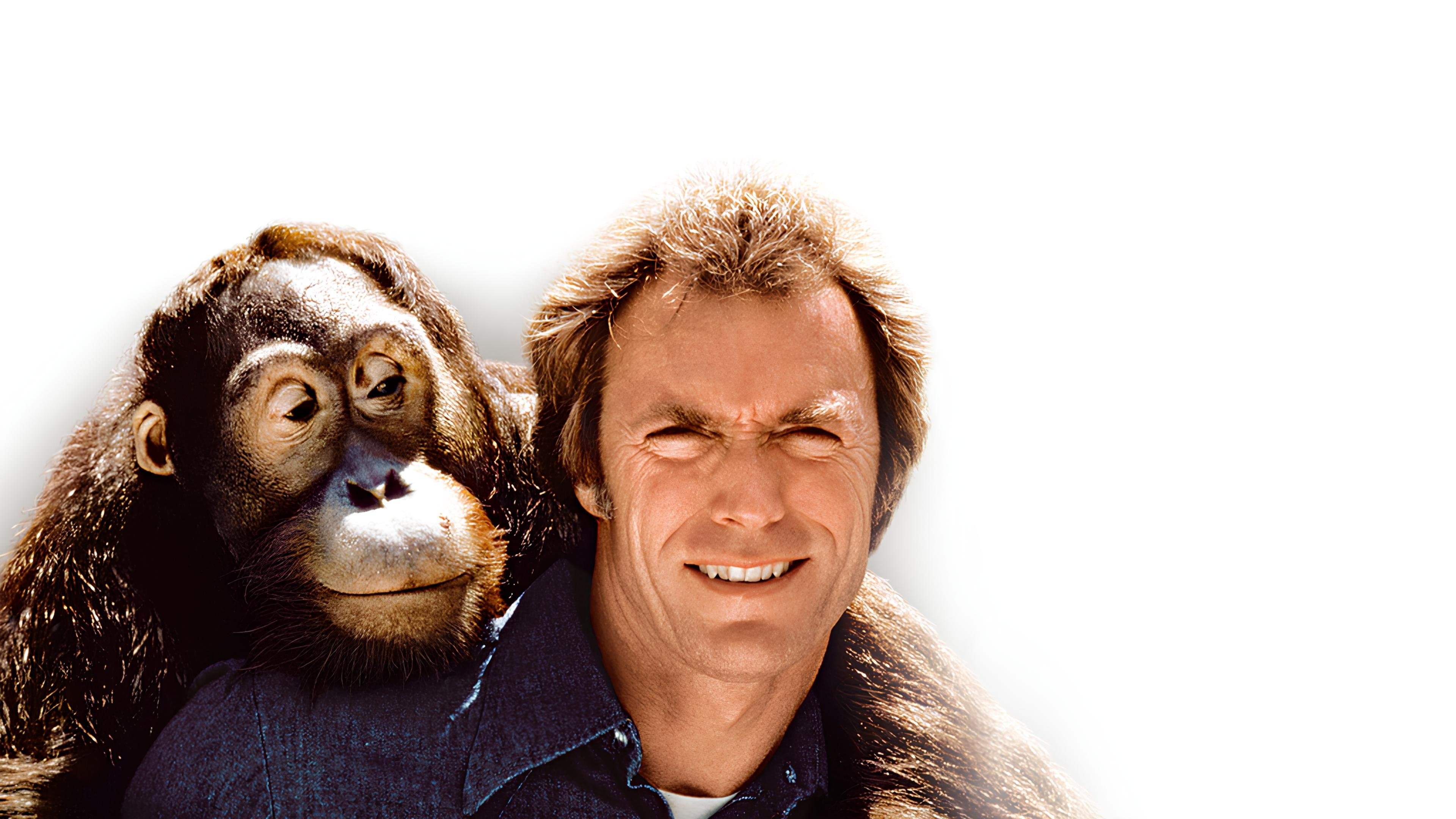 Mit Vollgas nach San Fernando