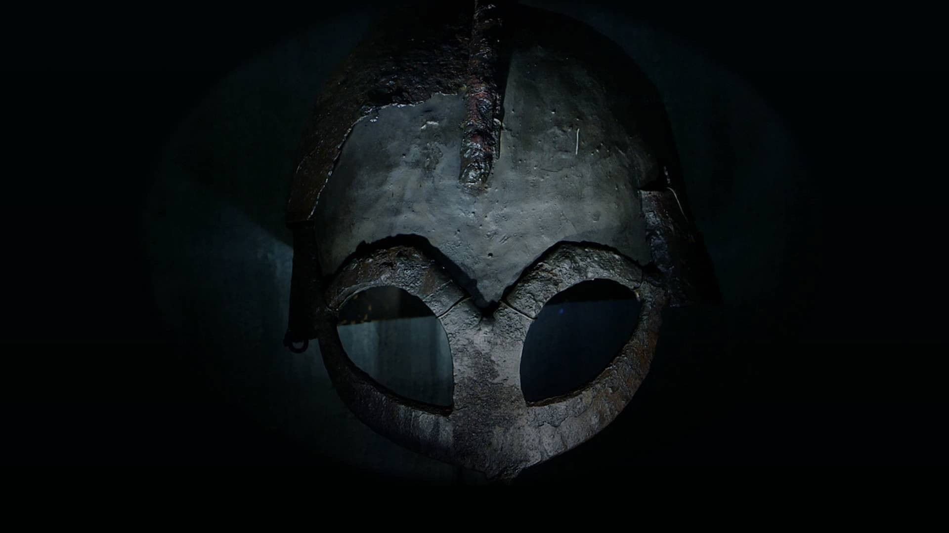 Die Frauen der Wikinger