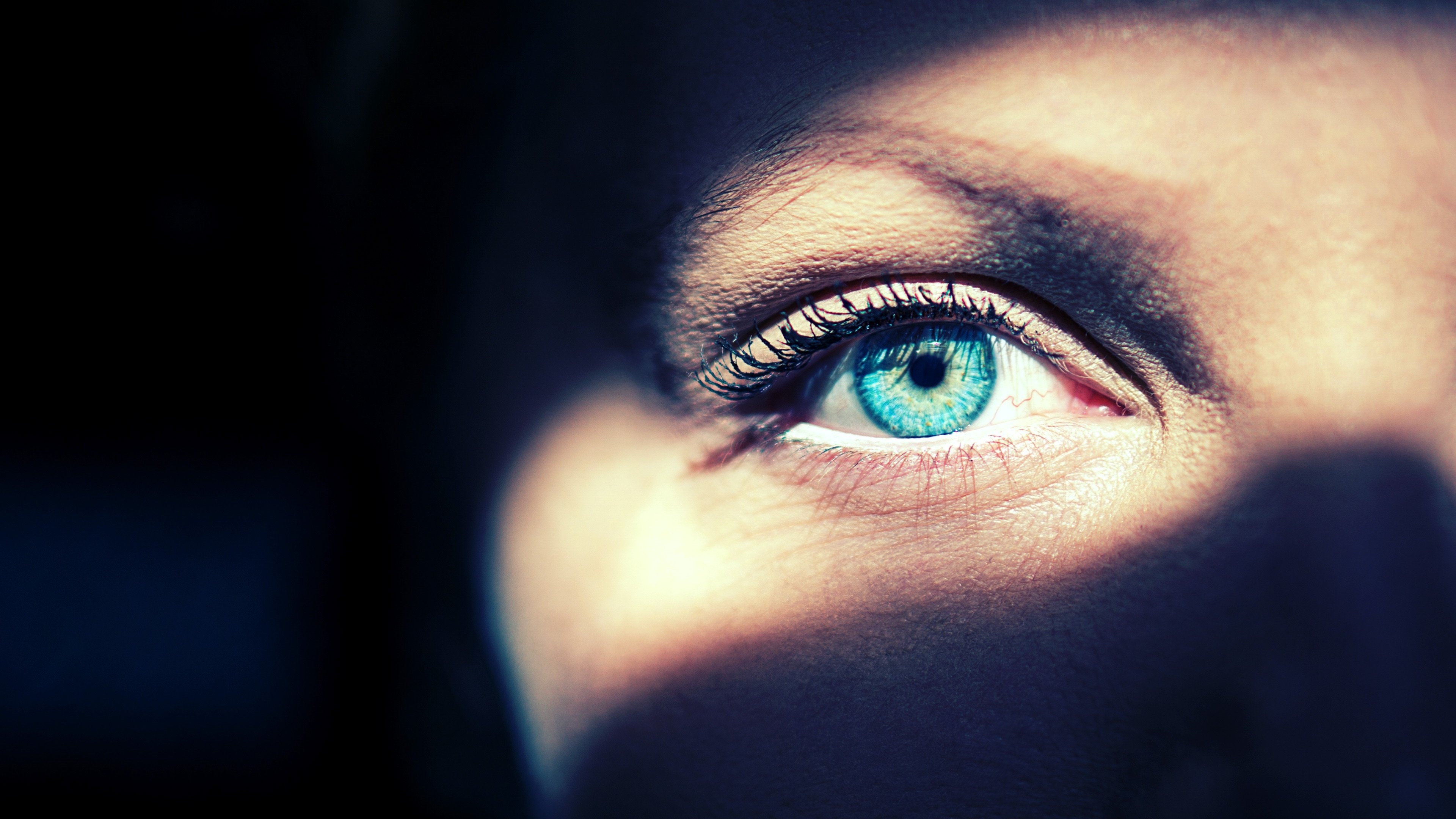 Diabolical - Teuflische Morde