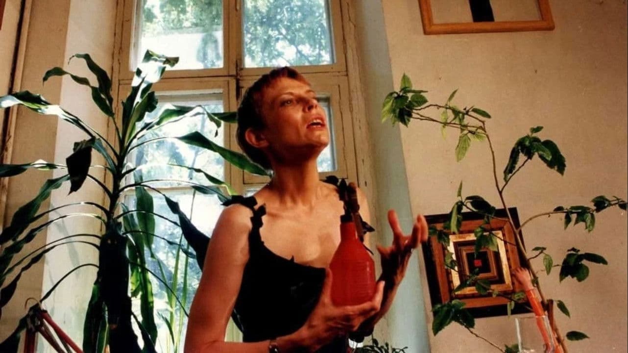 Письмо в Америку