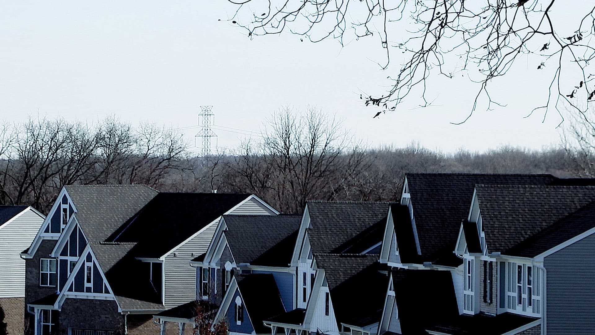 The Fields of Abbottsville