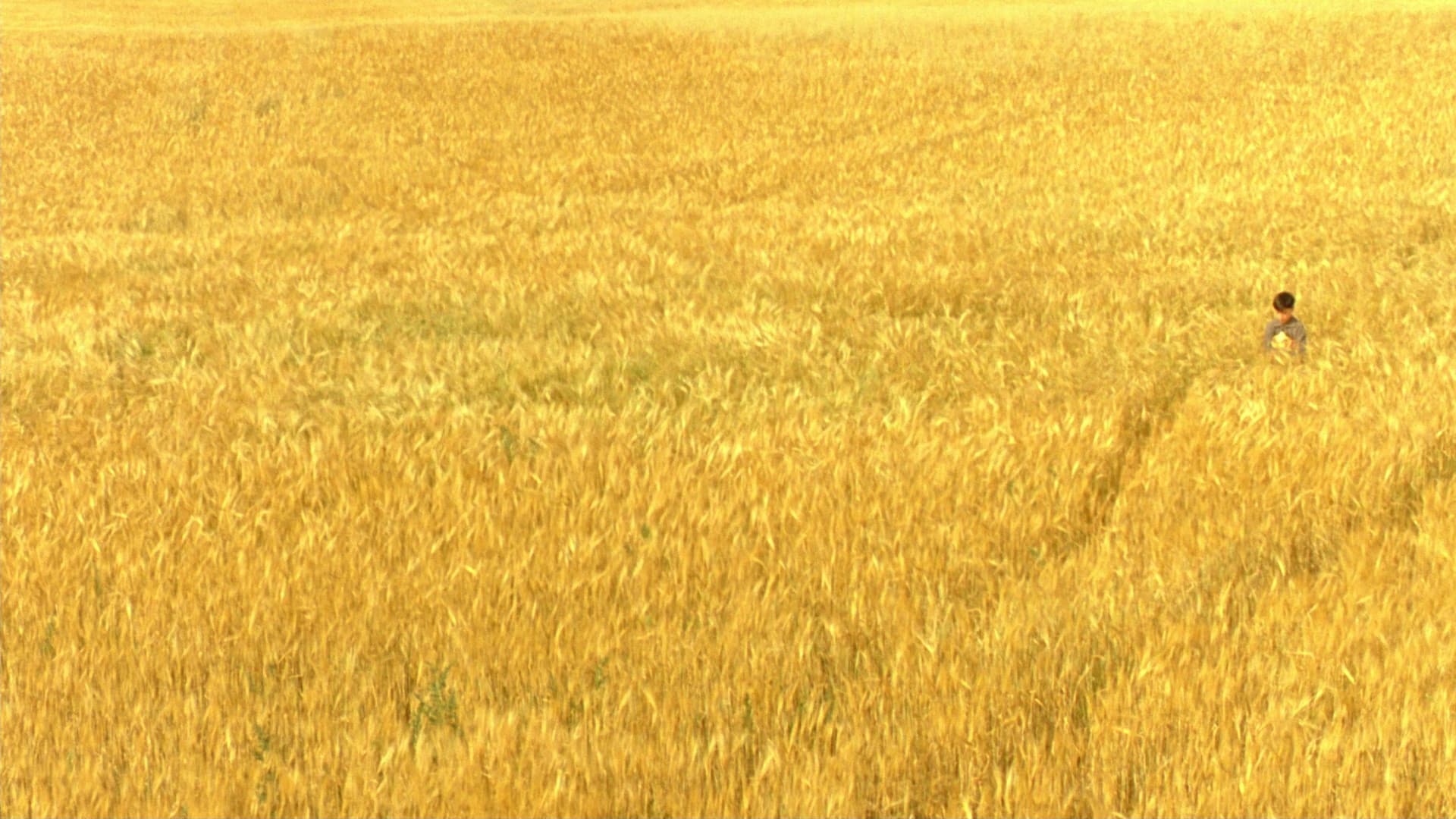 Schrei in der Stille