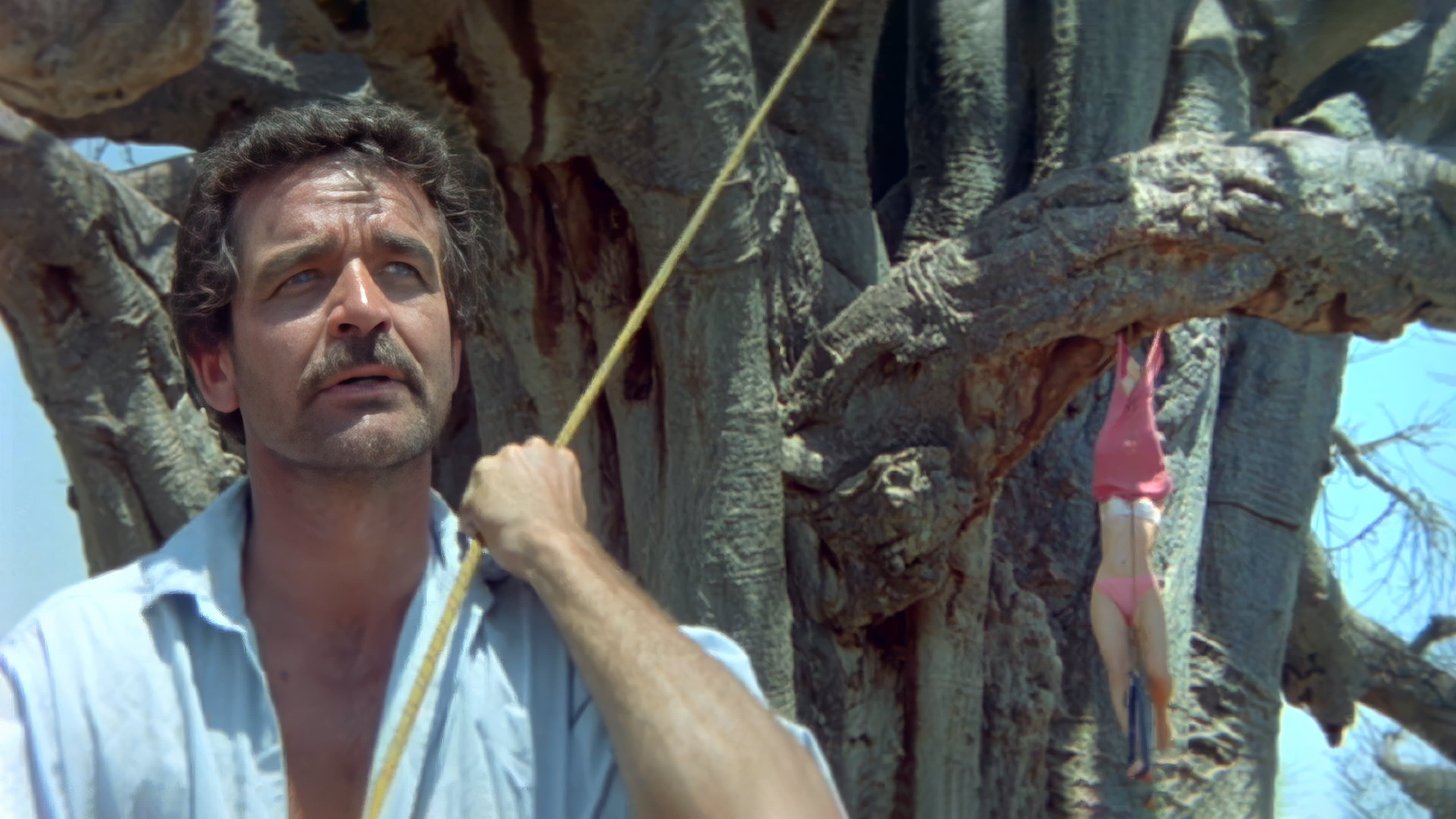 Die Götter müssen verrückt sein II