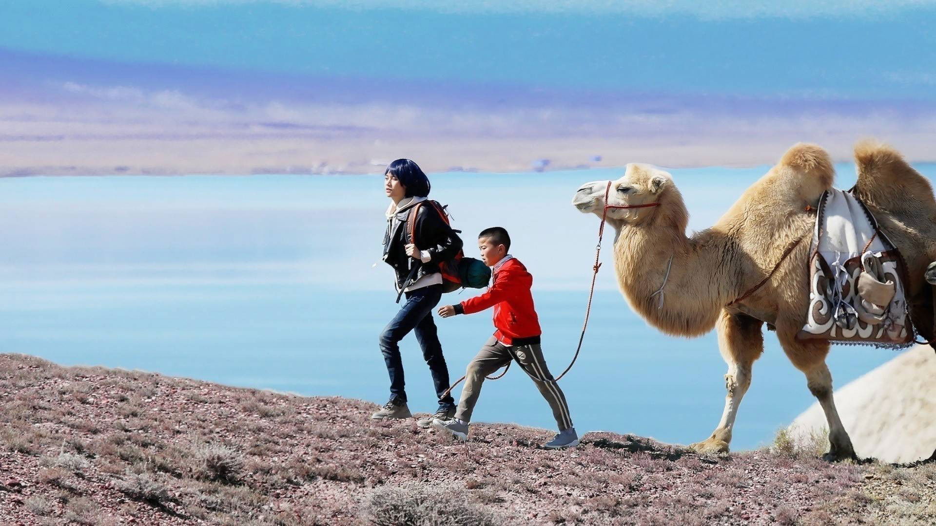 穿越山海走向你