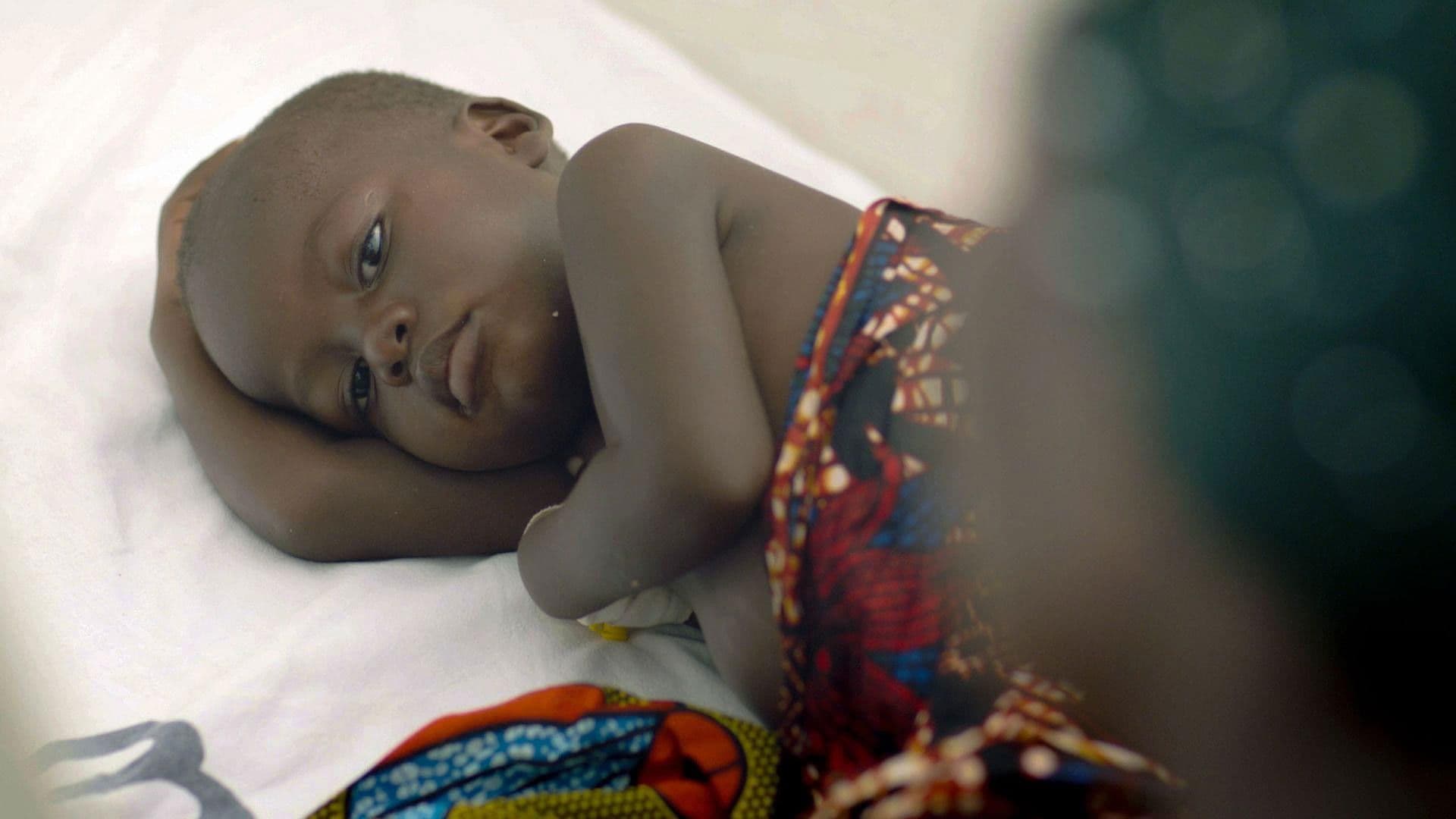 The Battle to Beat Malaria