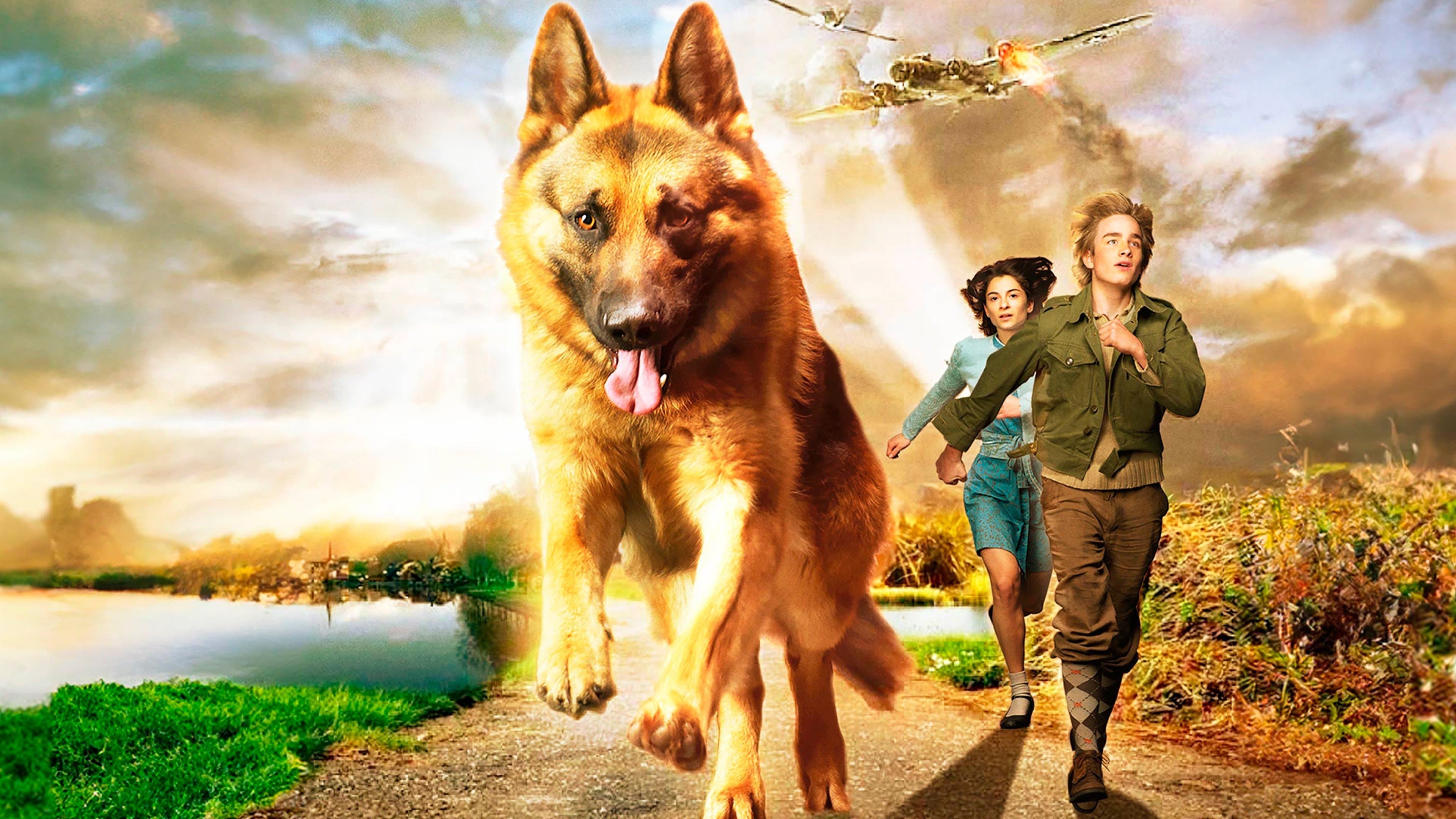 Schnüffel und das Geheimnis des Eisvogels