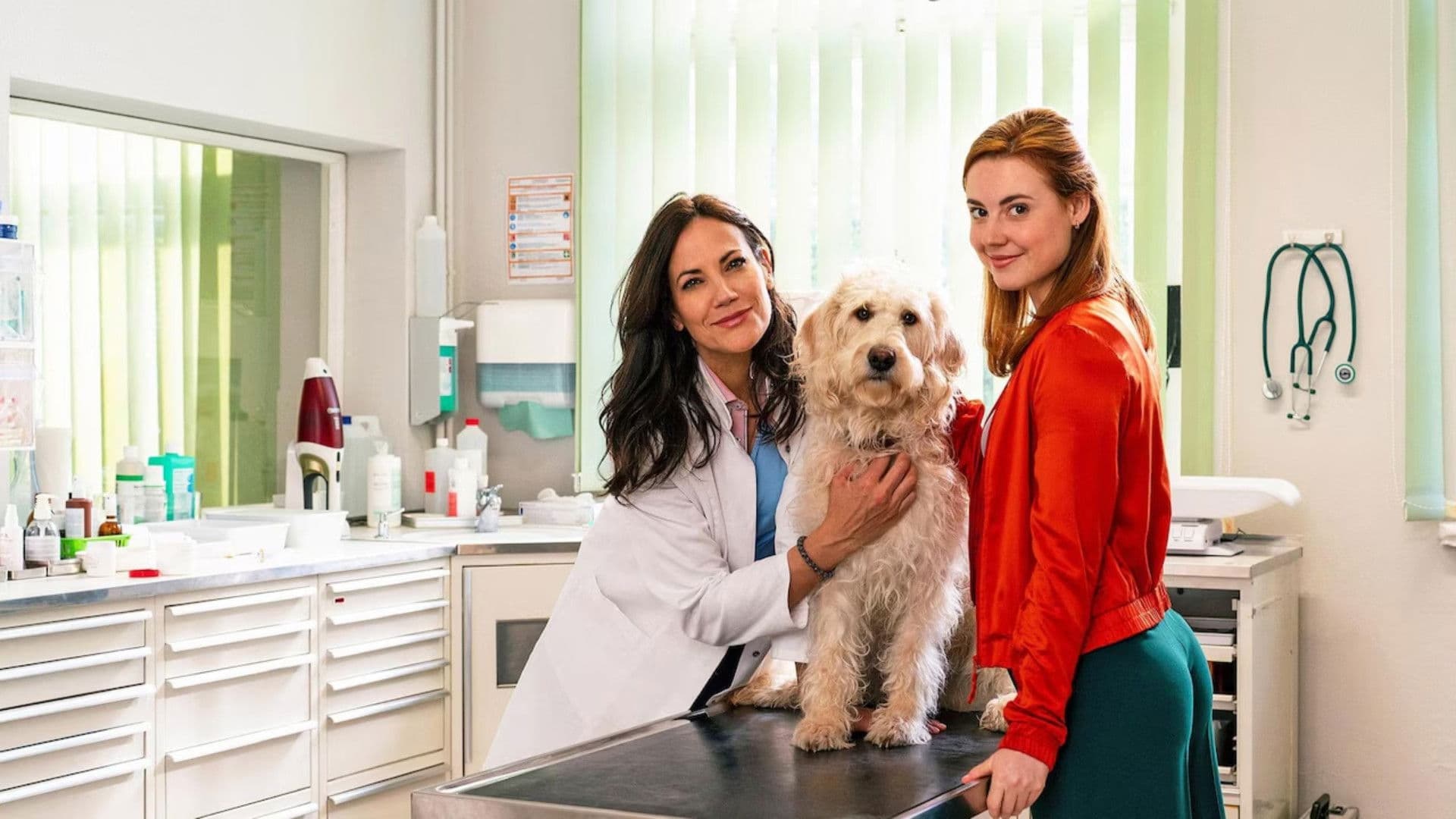 Zwei Frauen für alle Felle - Neuanfang