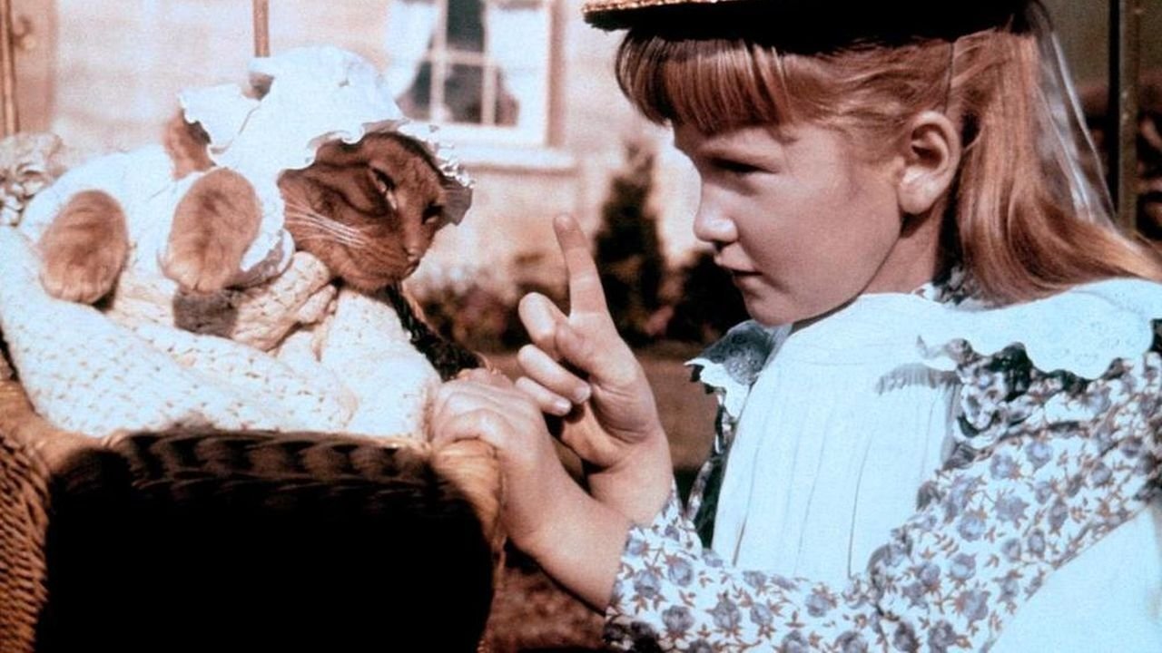 Die drei Leben von Thomasina