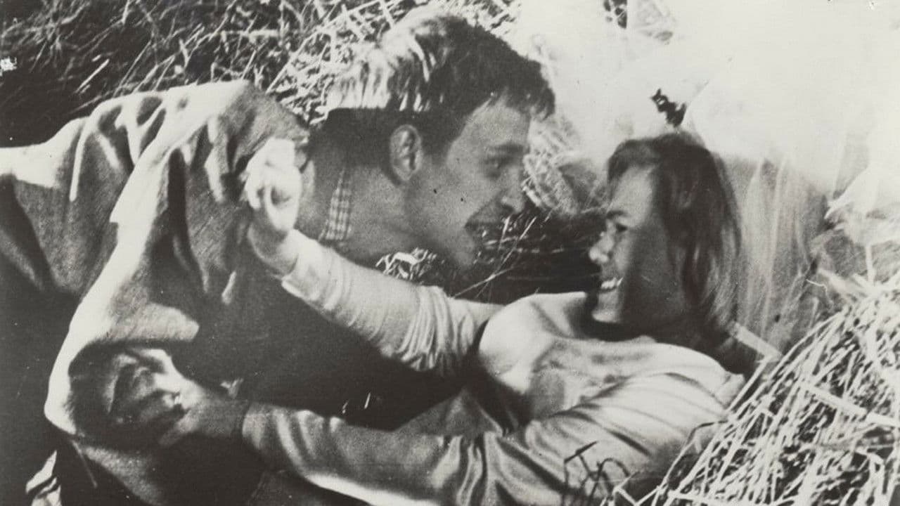 Die schwedische Hochzeitsnacht